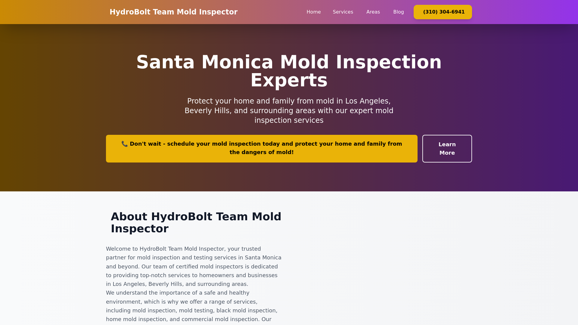 website screenshot of https://hydroboltteammoldinspector.pages.dev/