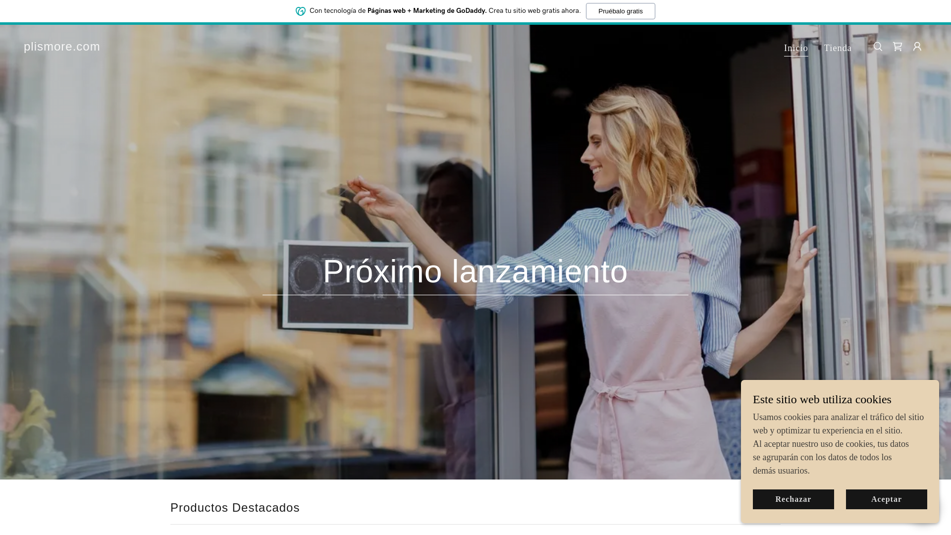 website screenshot of https://plismore.com/