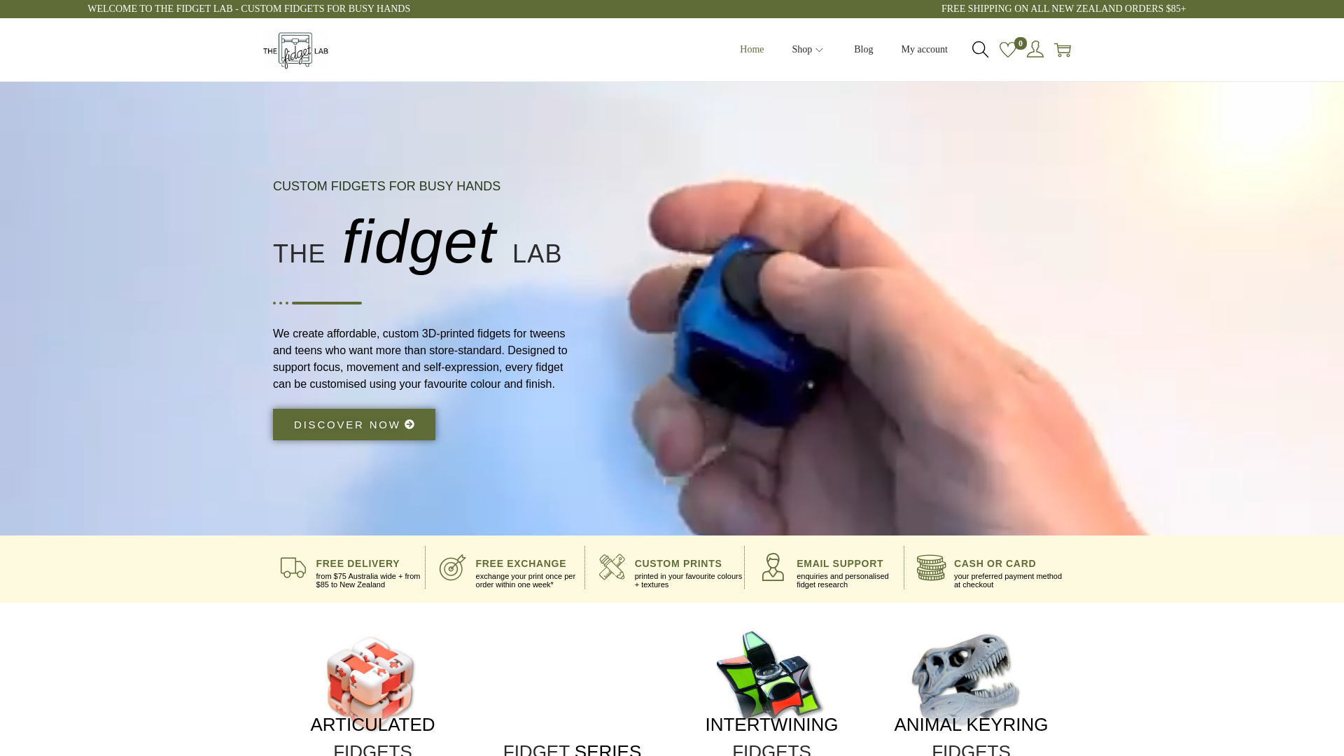 website screenshot of https://thefidgetlab.online/
