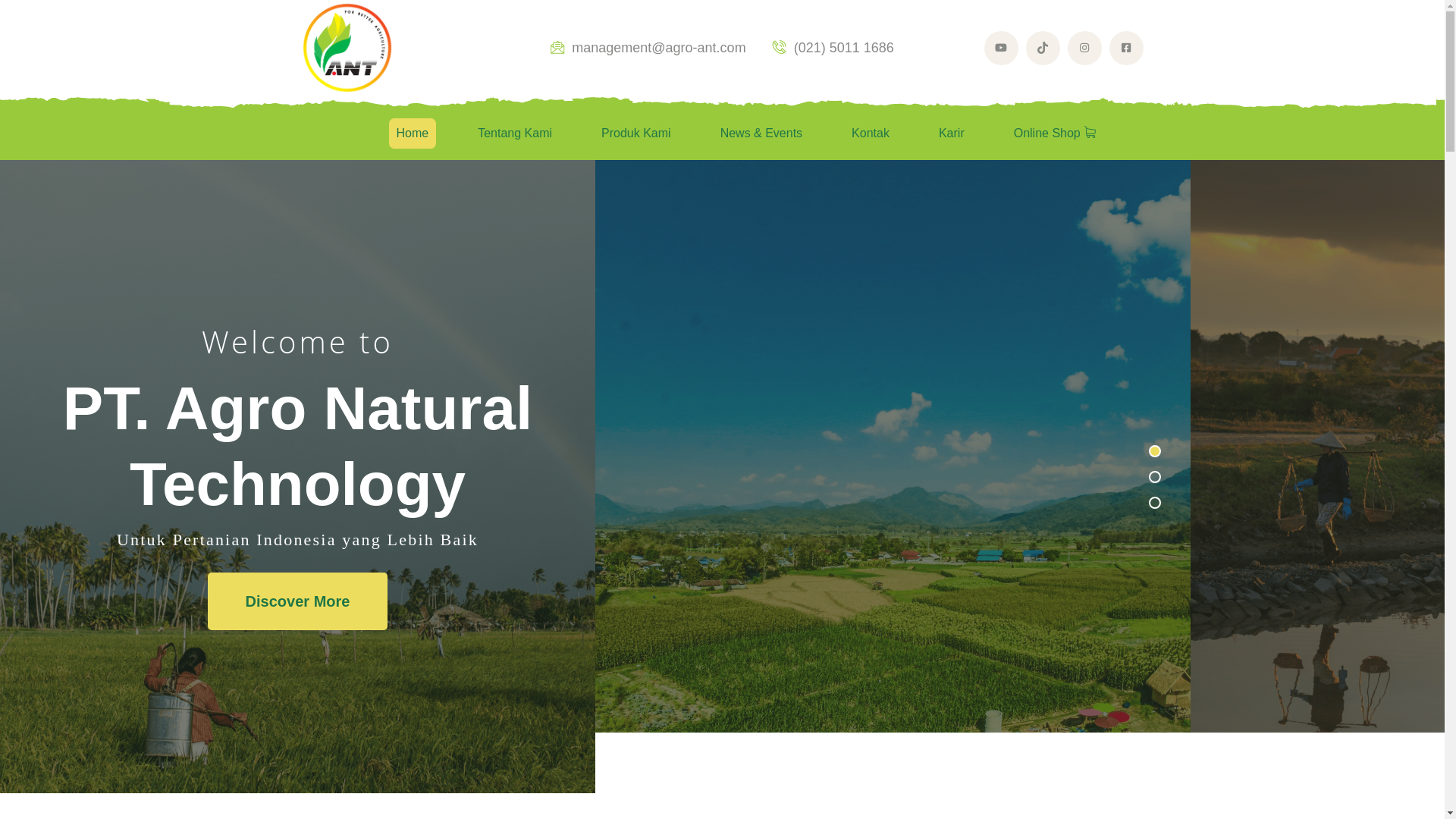 website screenshot of https://agroant.pages.dev/