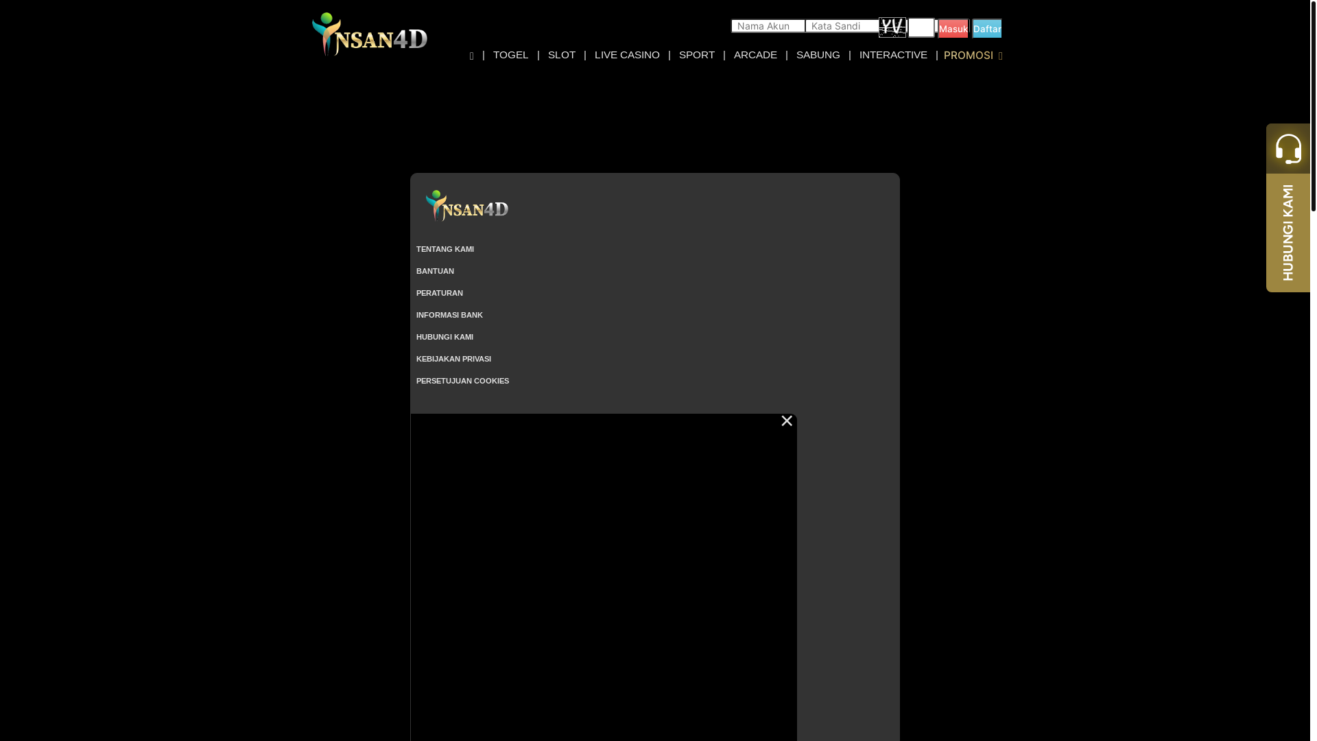 website screenshot of https://insanbesar.info/
