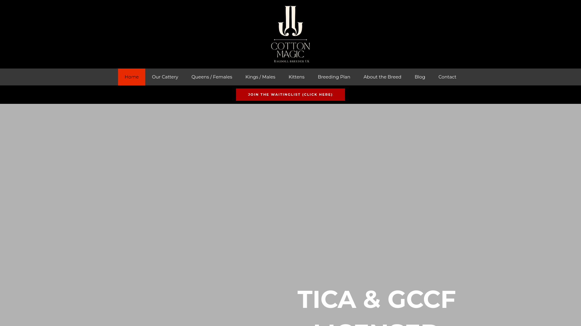 website screenshot of https://cottonmagic-ragdoll.co