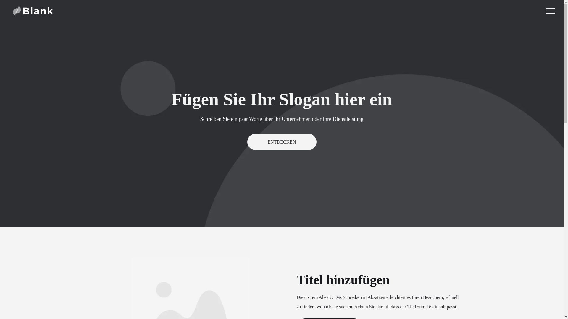 website screenshot of https://saliceti.de/