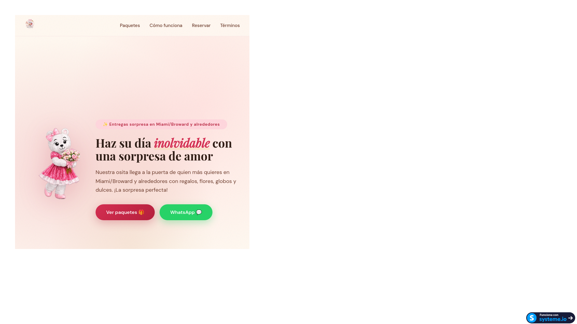 website screenshot of https://ositossorpresafl.com