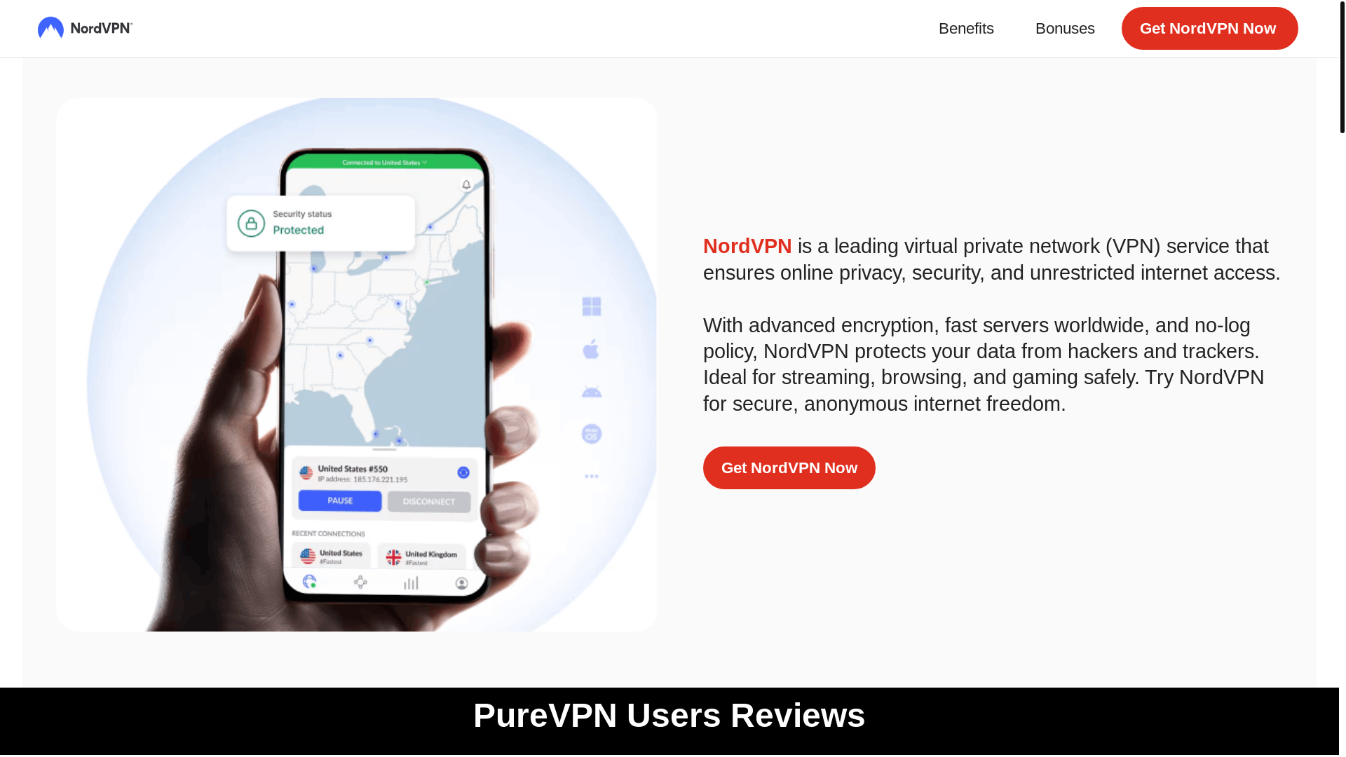 website screenshot of https://en-en-nordvpn.com/