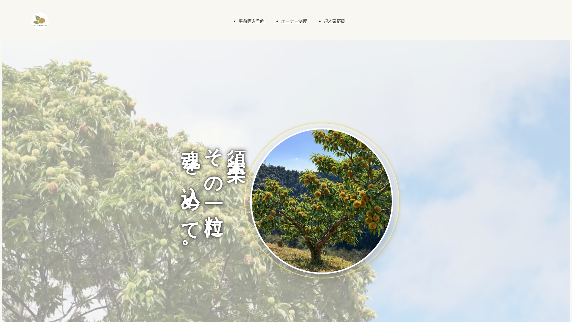 website screenshot of https://kaishin-sukiguri.com/