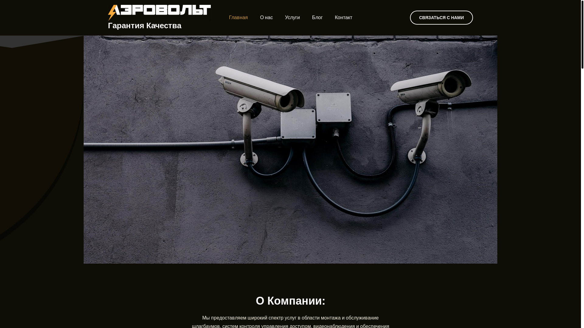 website screenshot of https://aervt.ru/