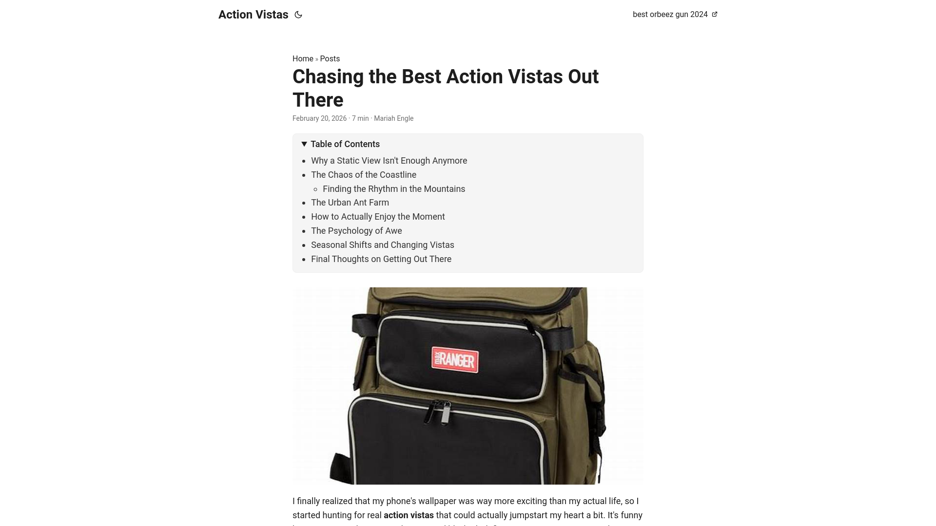 website screenshot of https://action-vistas.pages.dev/