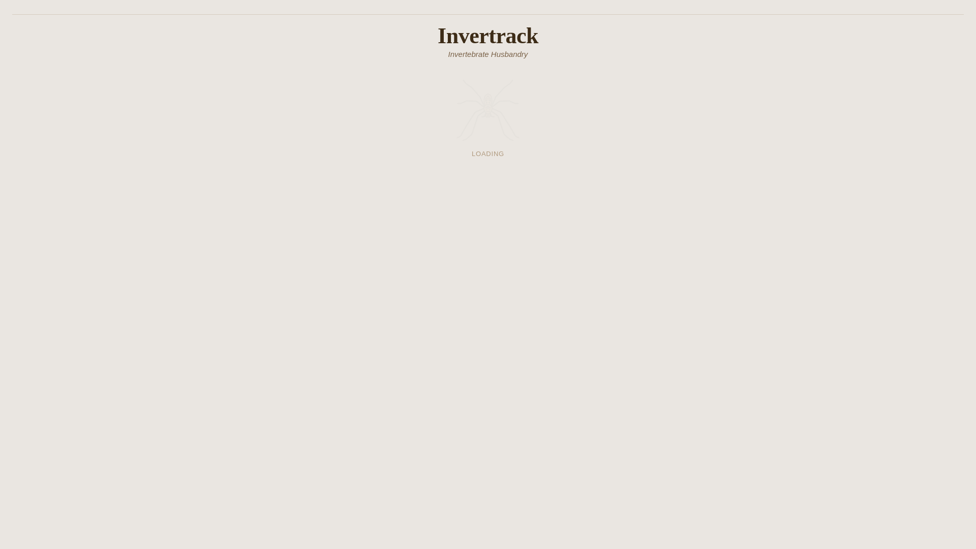 website screenshot of https://invertrack.pages.dev/