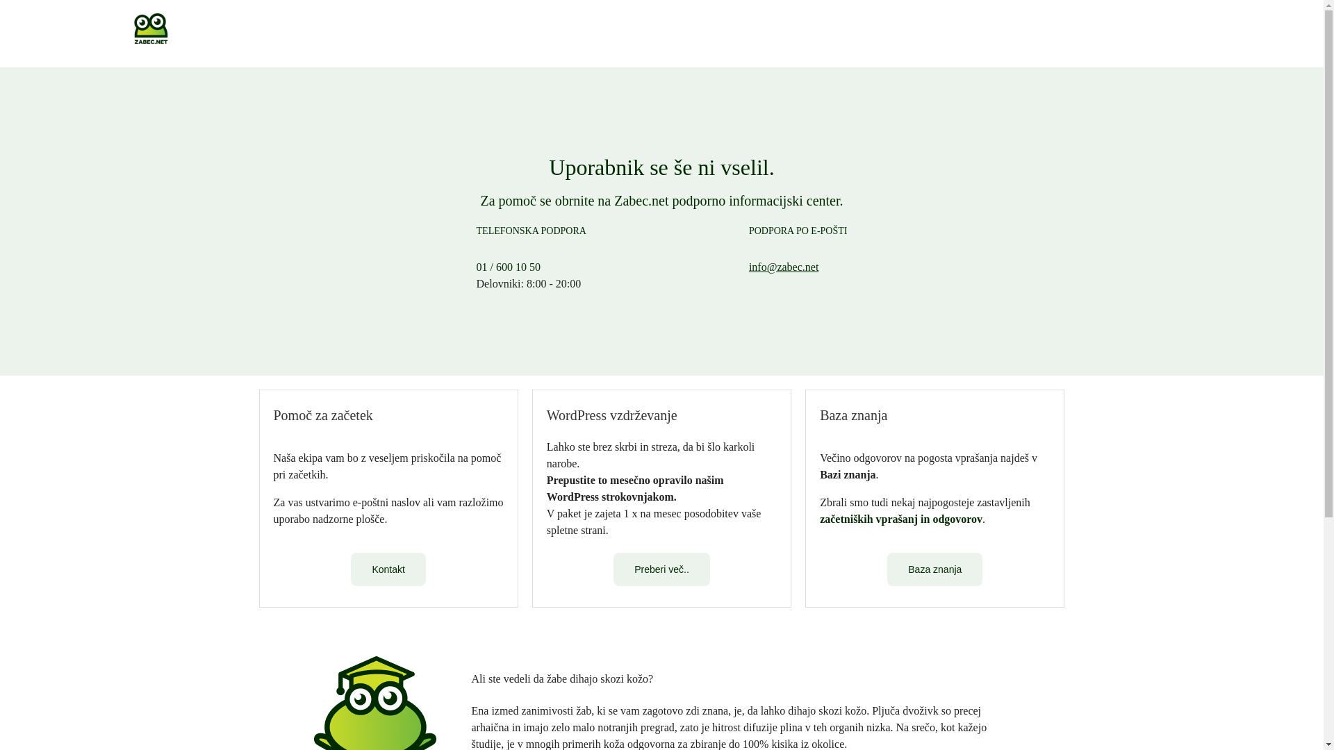 website screenshot of https://ivanamilavec.si/