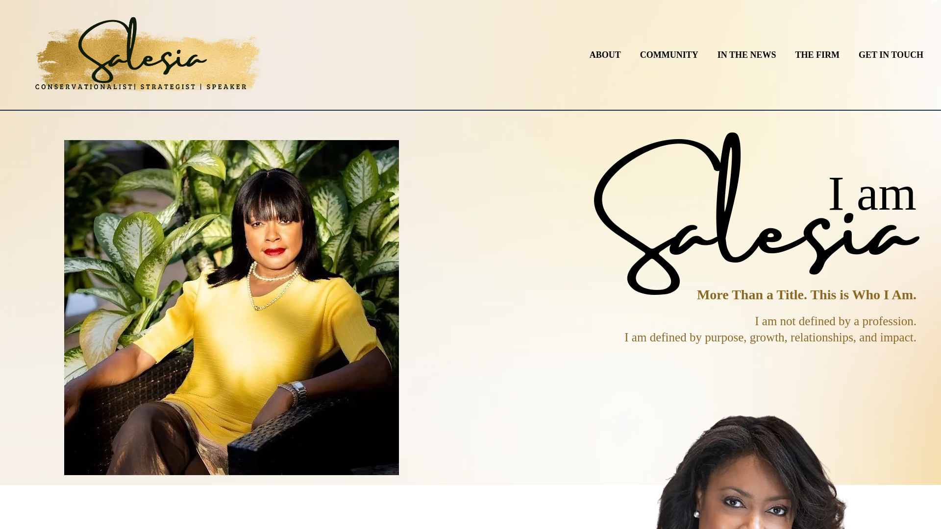 website screenshot of https://salesiavsmithgordon.com/