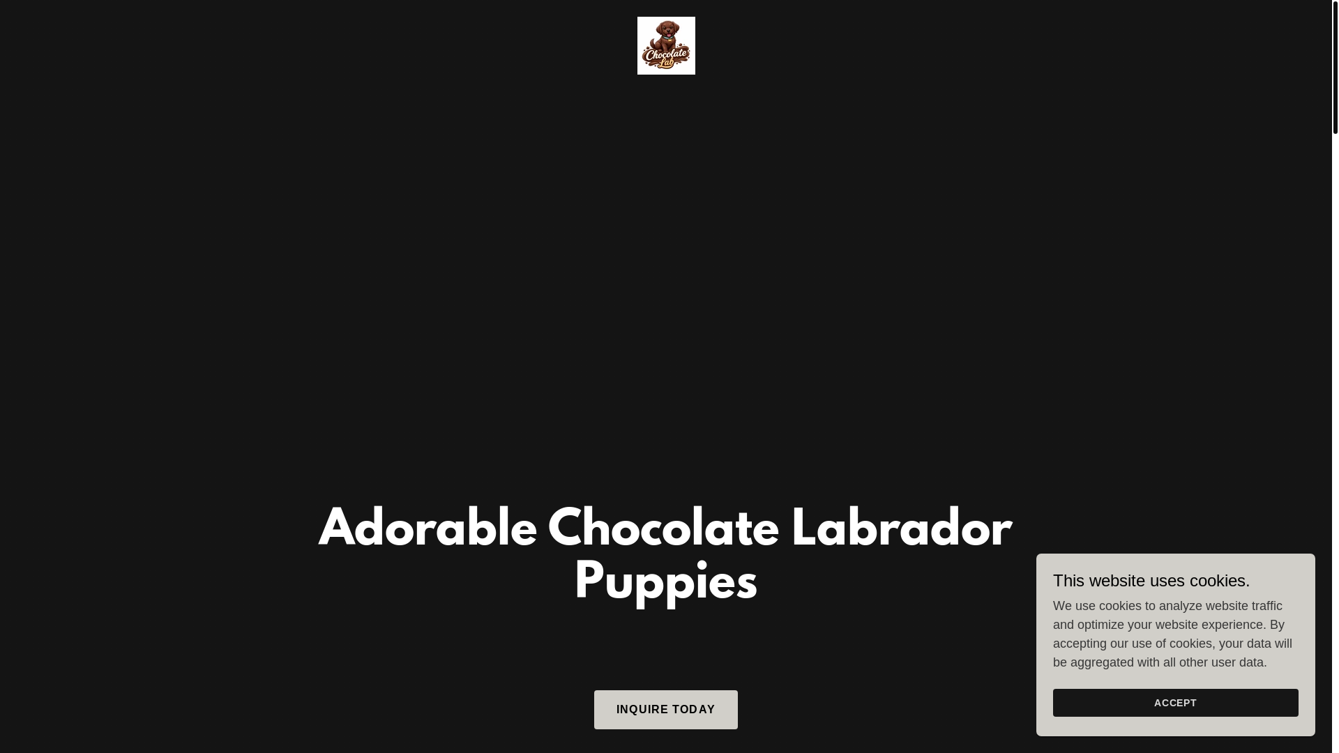 website screenshot of https://chocolatelab.com.au/