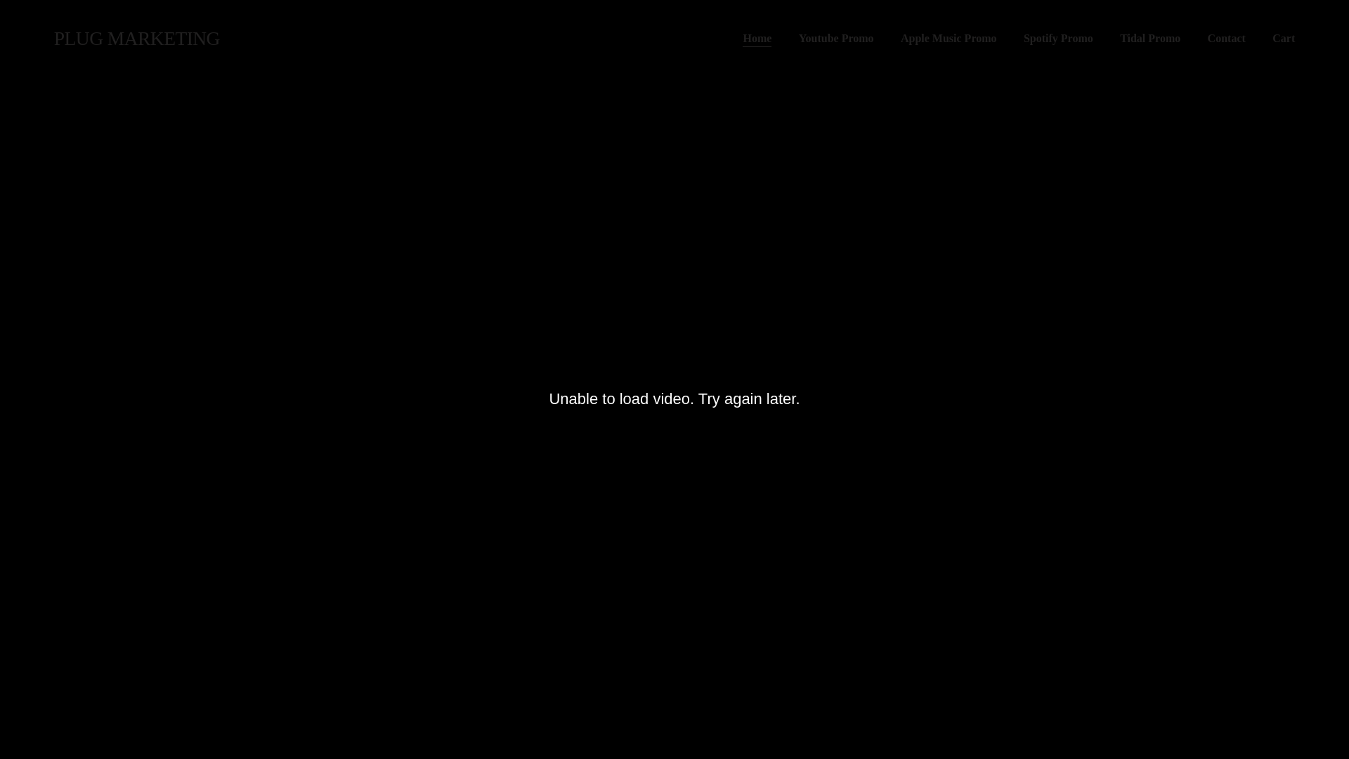 website screenshot of https://plugmarketingworldwide.com/