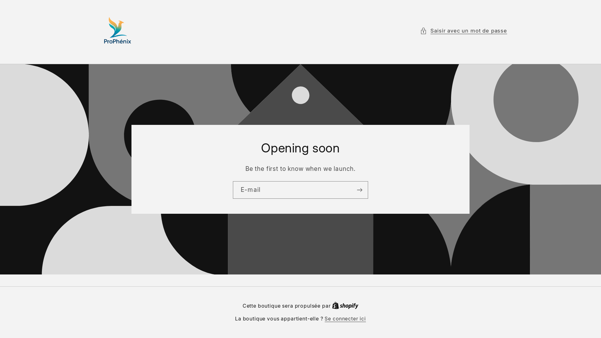 website screenshot of https://prophenix.fr/