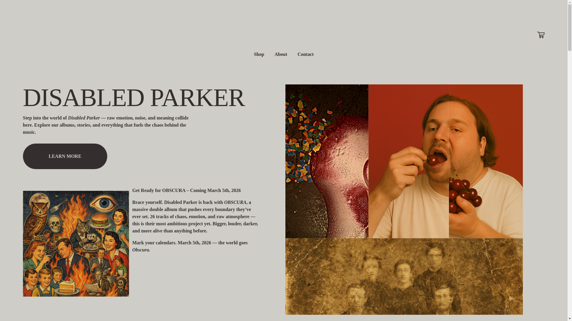 website screenshot of https://disabledparker.com/