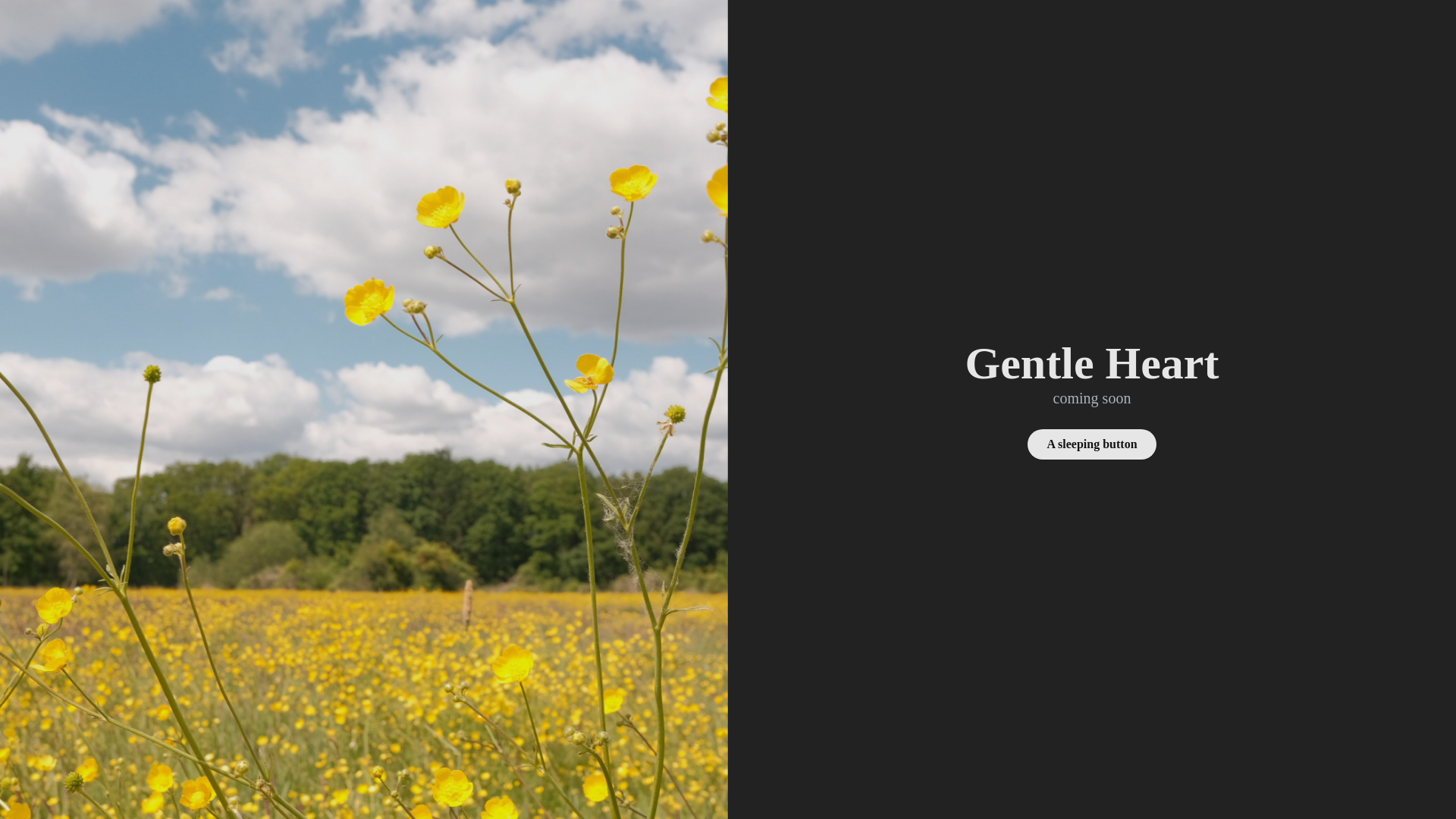 website screenshot of https://gentleheart.space/