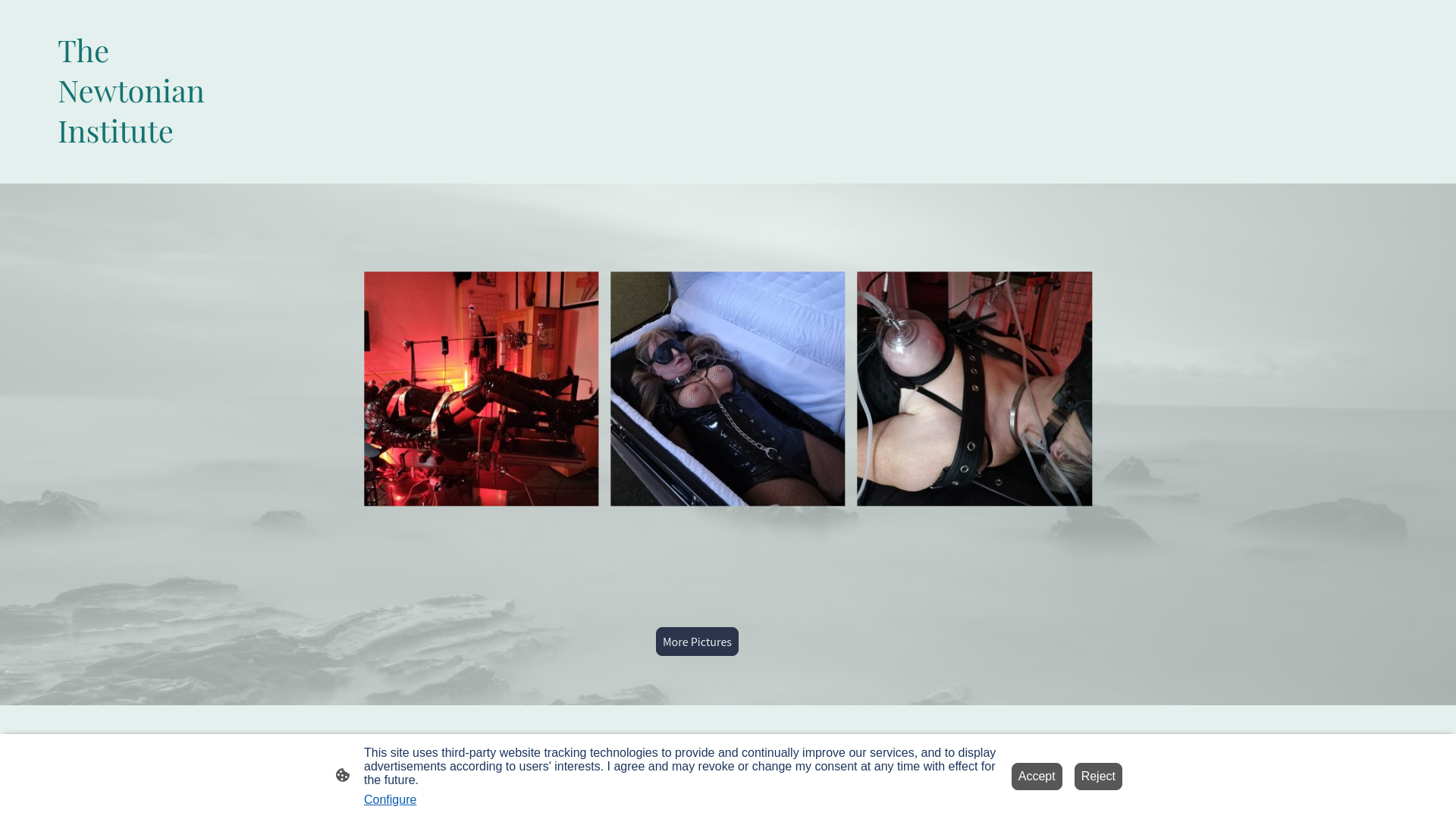website screenshot of https://newtonian.institute