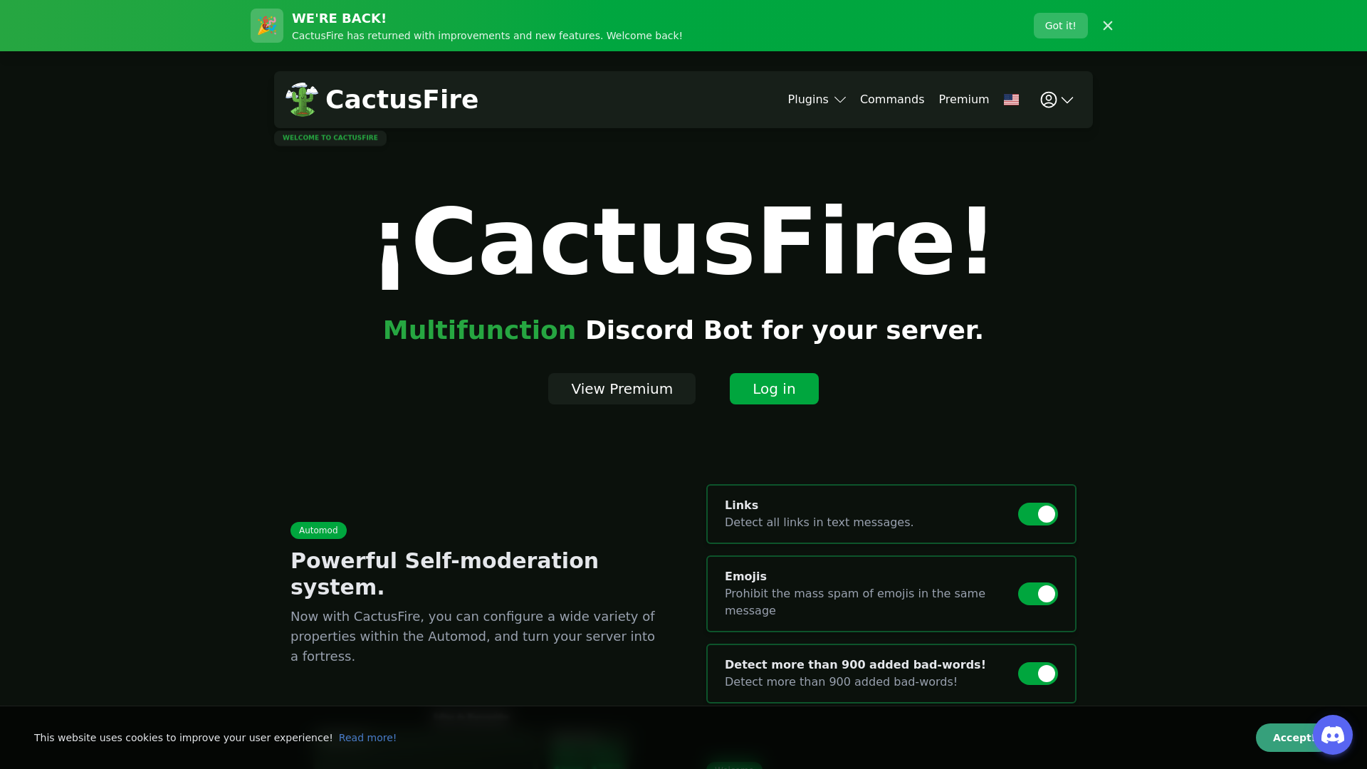 website screenshot of https://cactusfire.xyz/