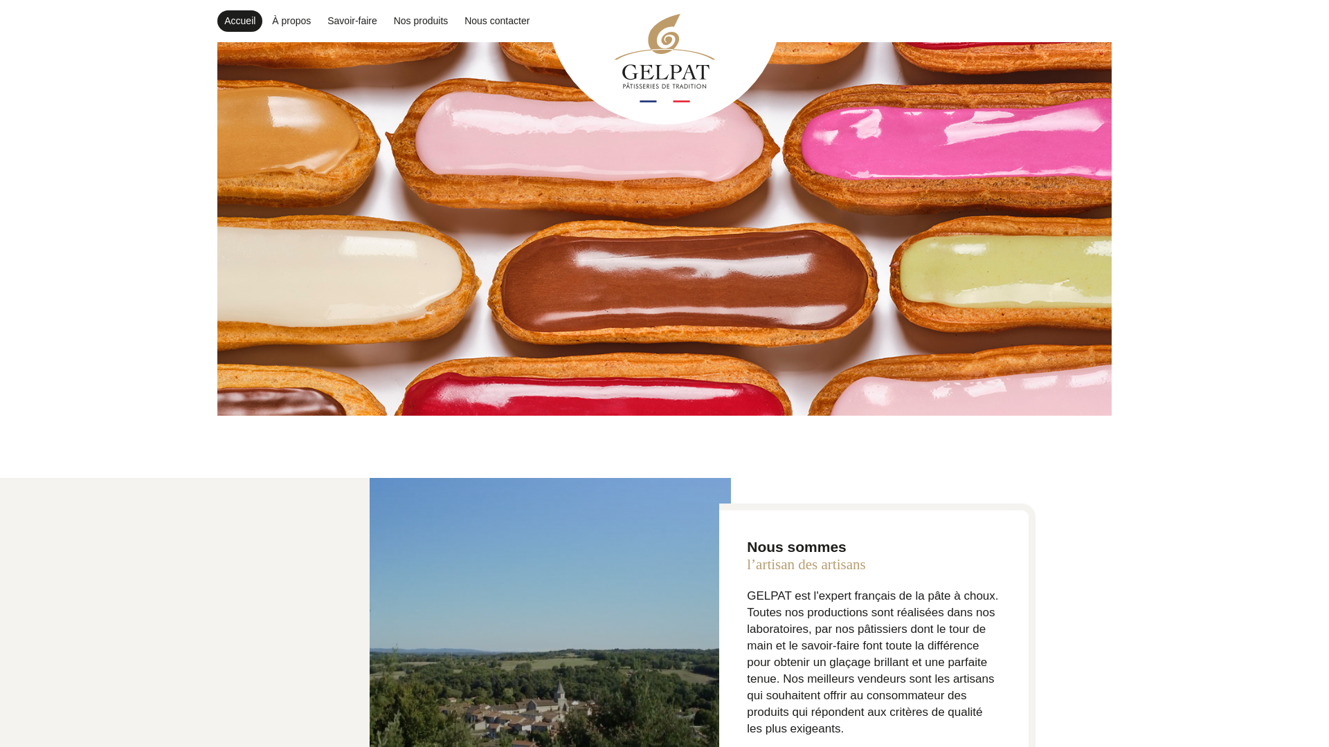 website screenshot of https://gelpat.fr/