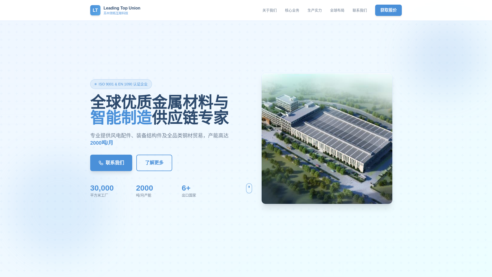 website screenshot of https://leadingtop.store/