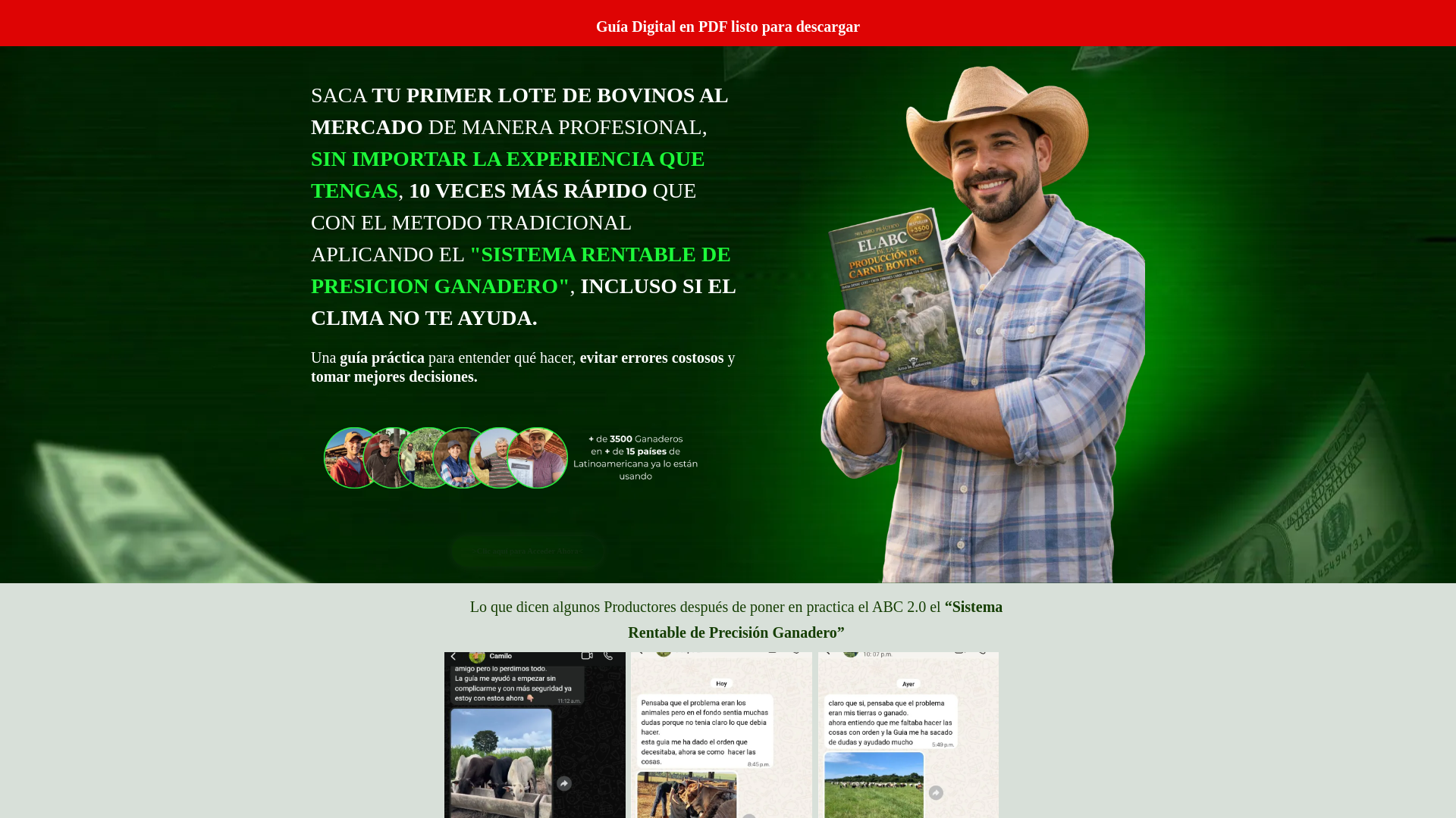 website screenshot of https://amolazootecnia.online