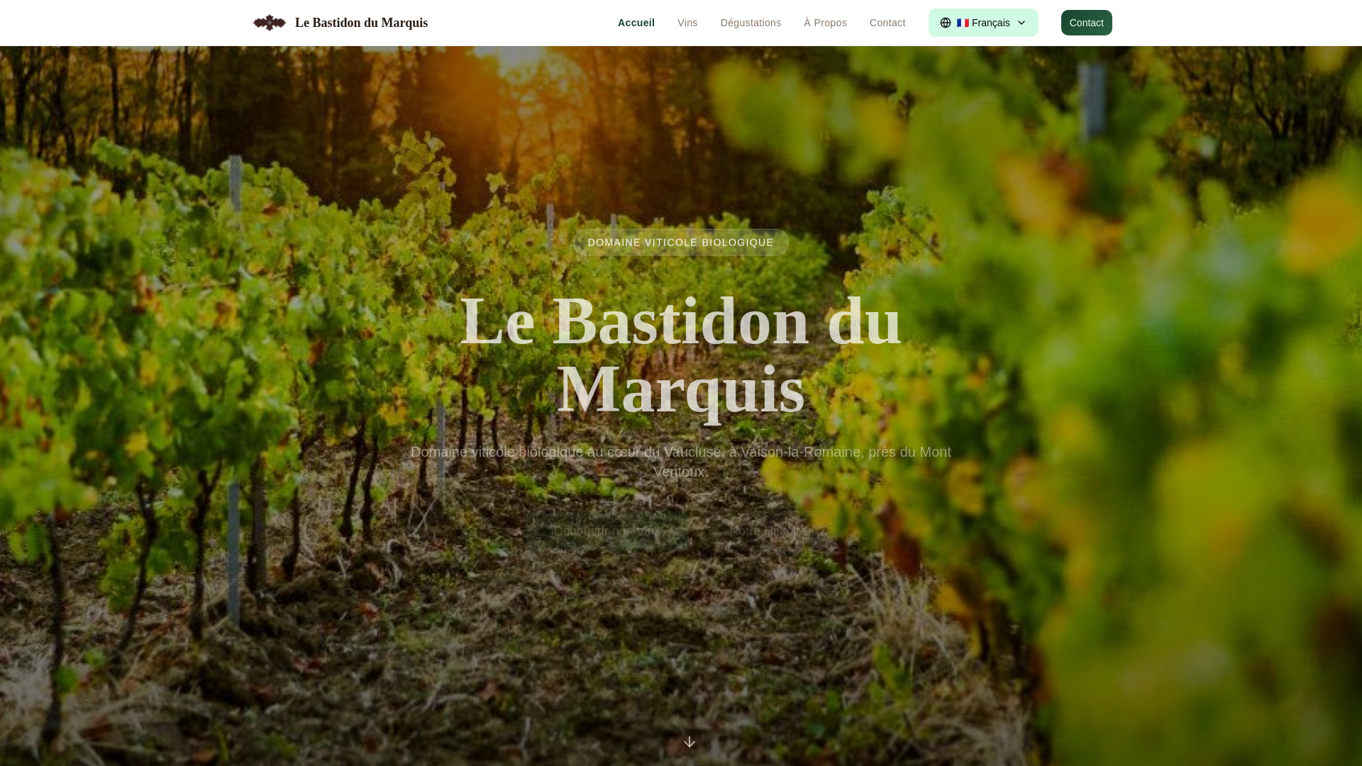 website screenshot of https://bastidon.eu