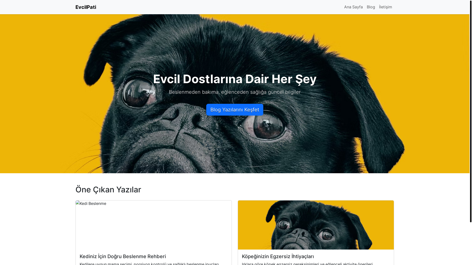 website screenshot of https://25temmuzguzelsiparis.cloud/
