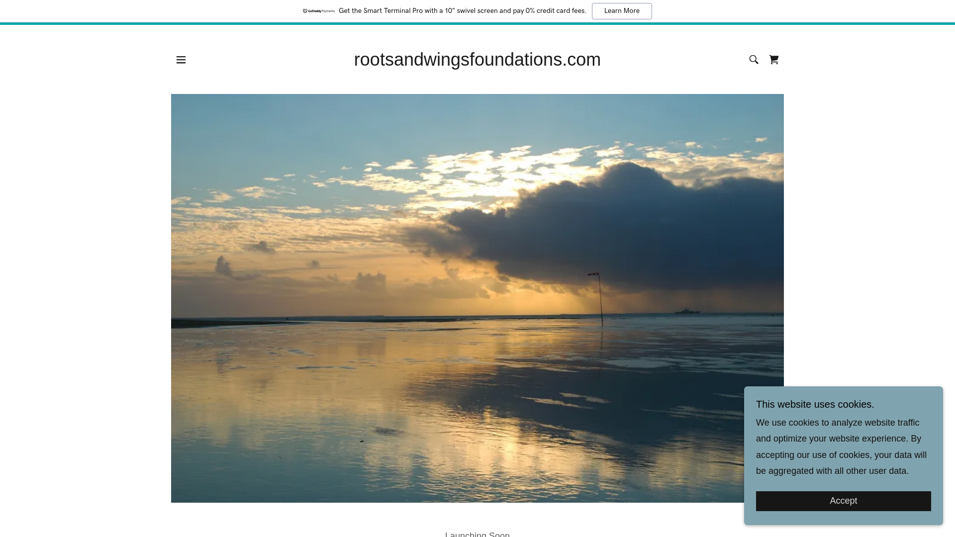 website screenshot of https://rootsandwingsfoundations.com/