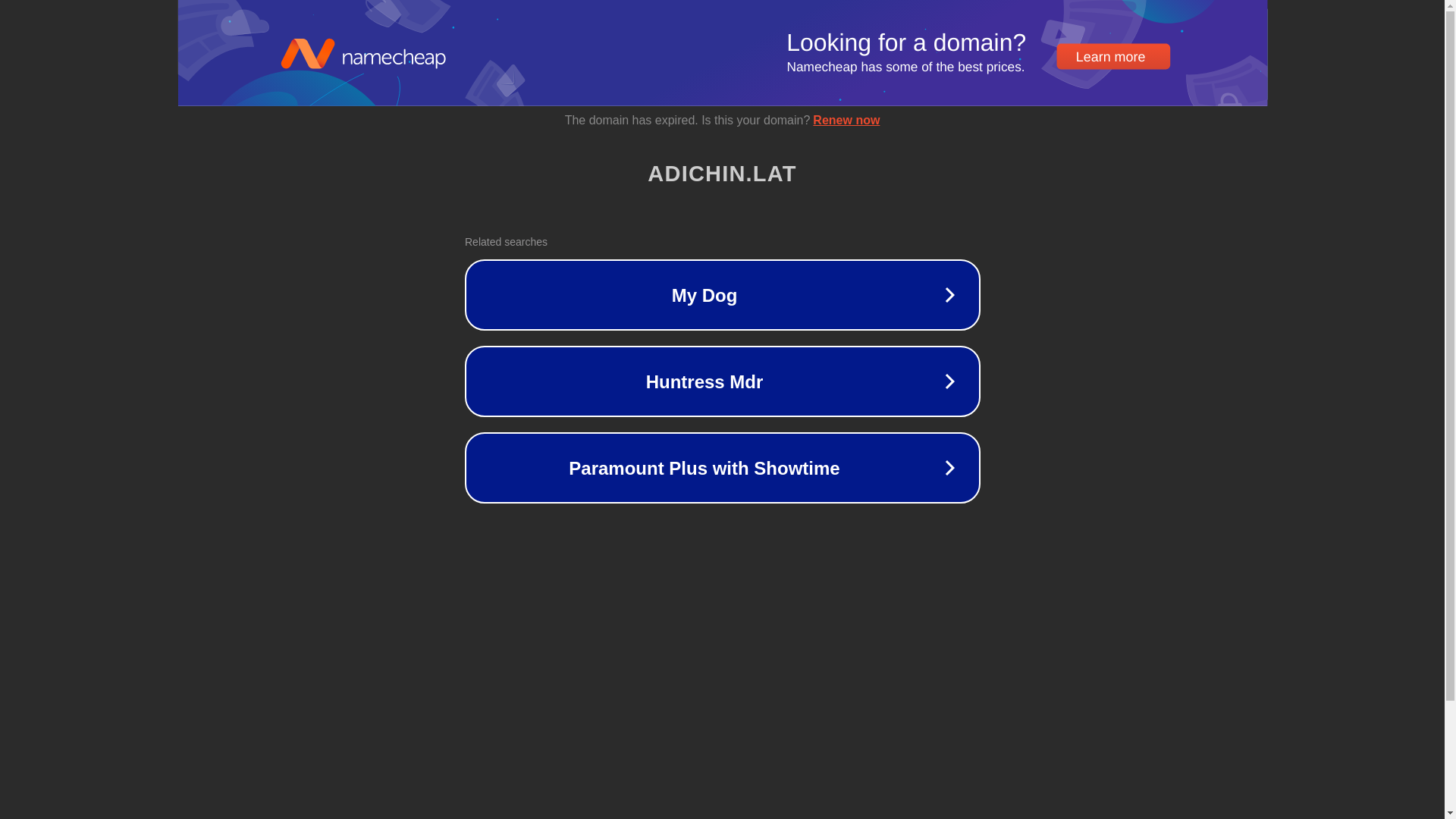 website screenshot of https://adichin.biz/