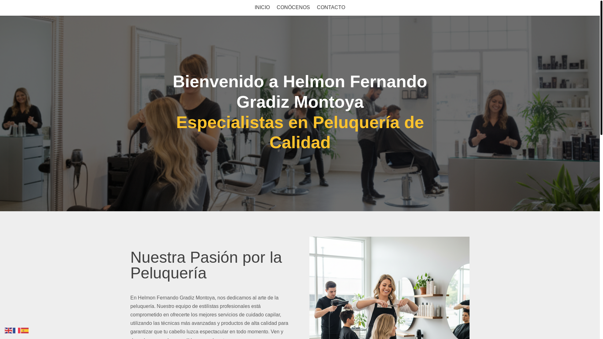 website screenshot of https://helmonfernandogradizmontoya.es/