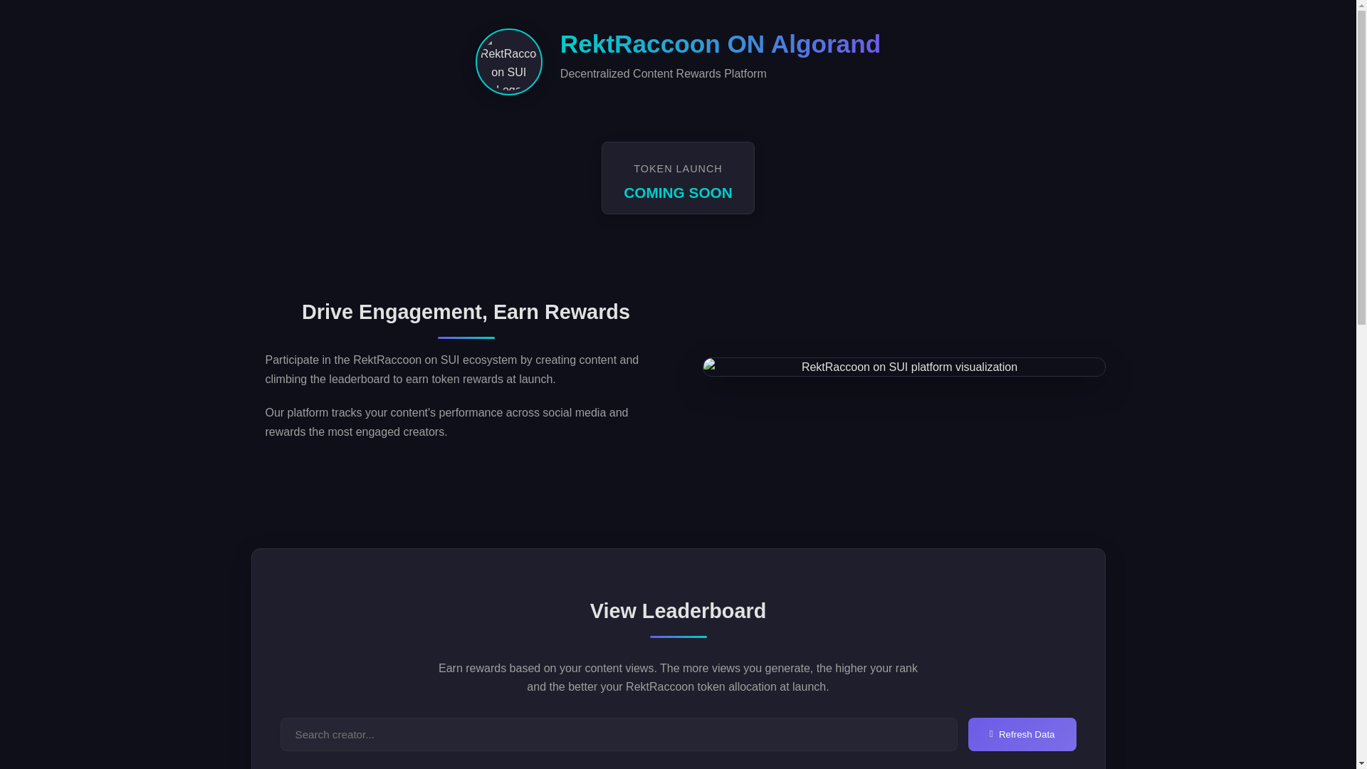 website screenshot of https://rektraccoon.space/