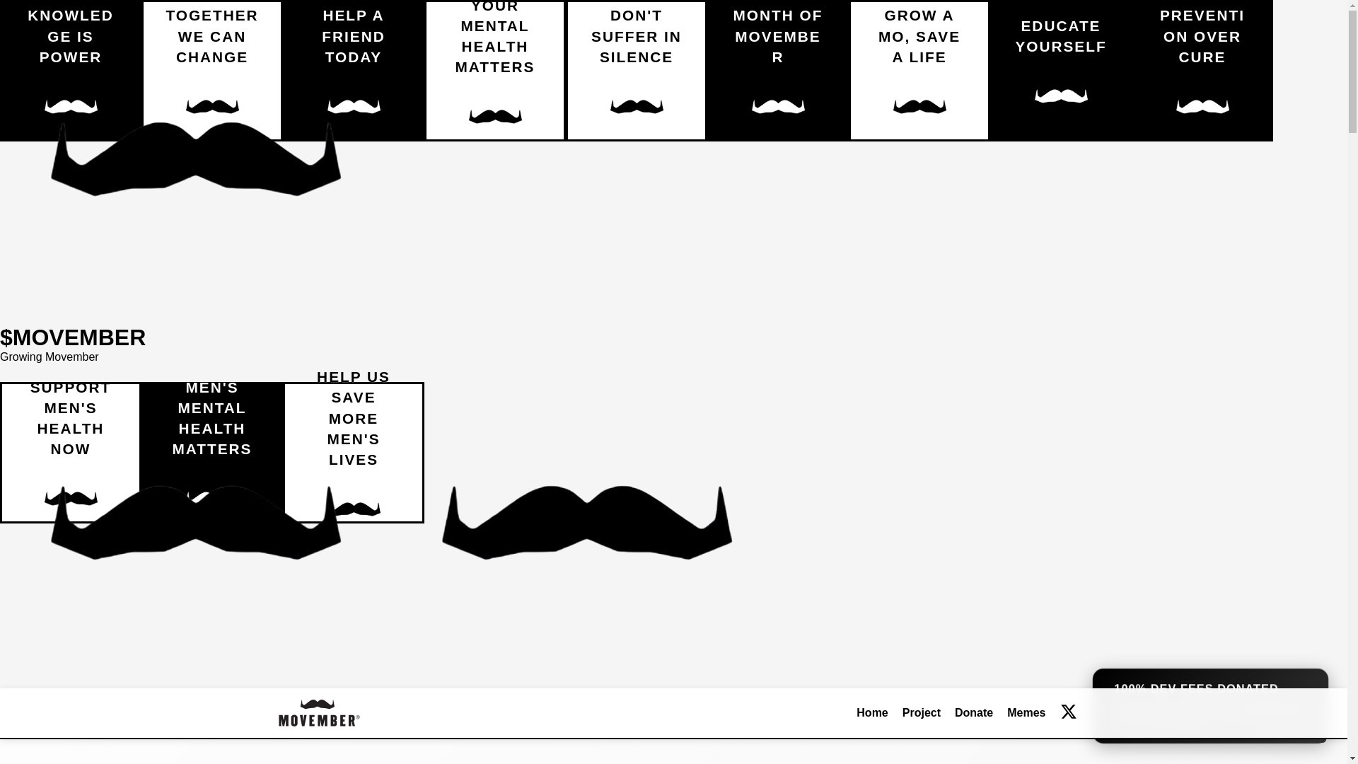 website screenshot of https://movember.fun/