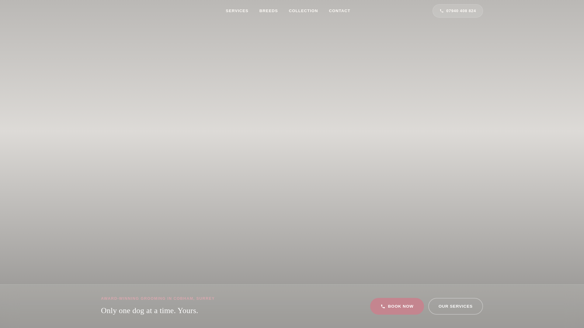 website screenshot of https://dolly-dog-grooming.pages.dev/