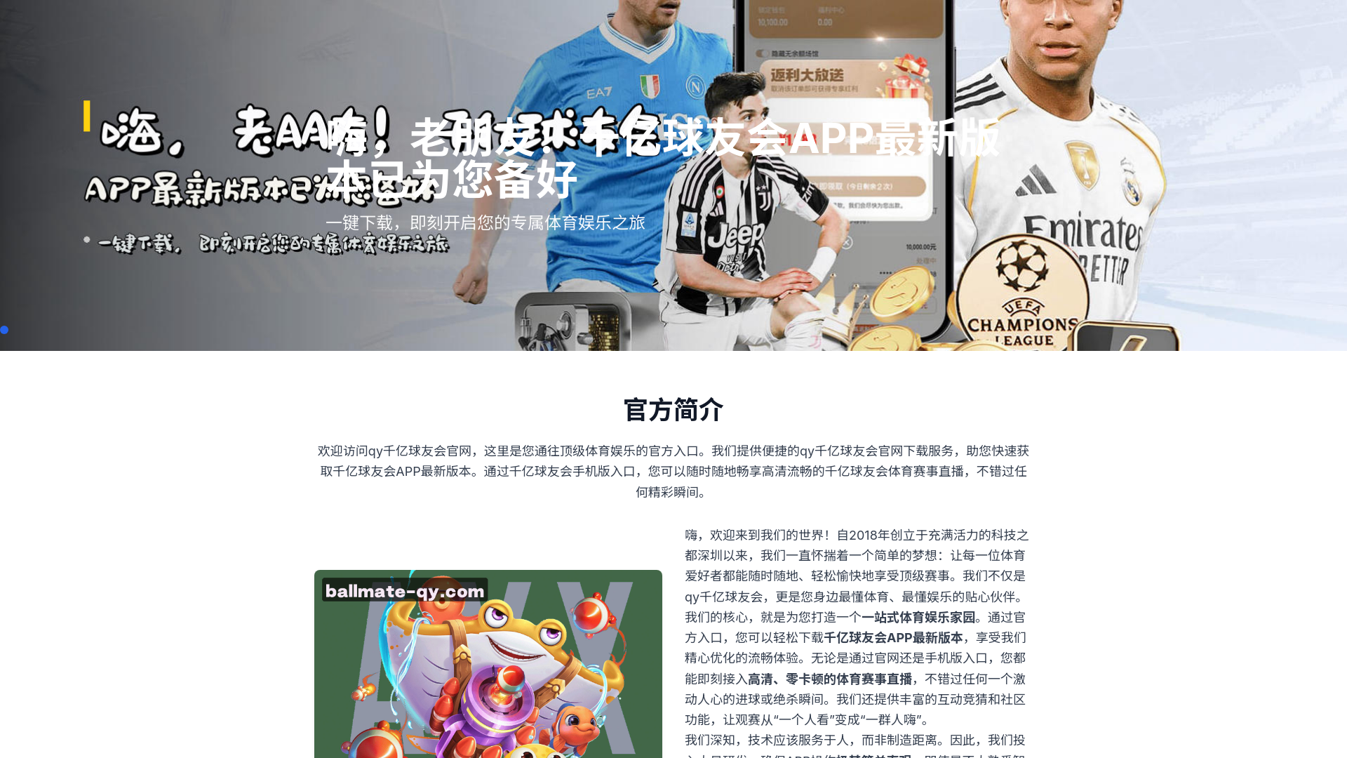 website screenshot of https://ballmate-qy.com