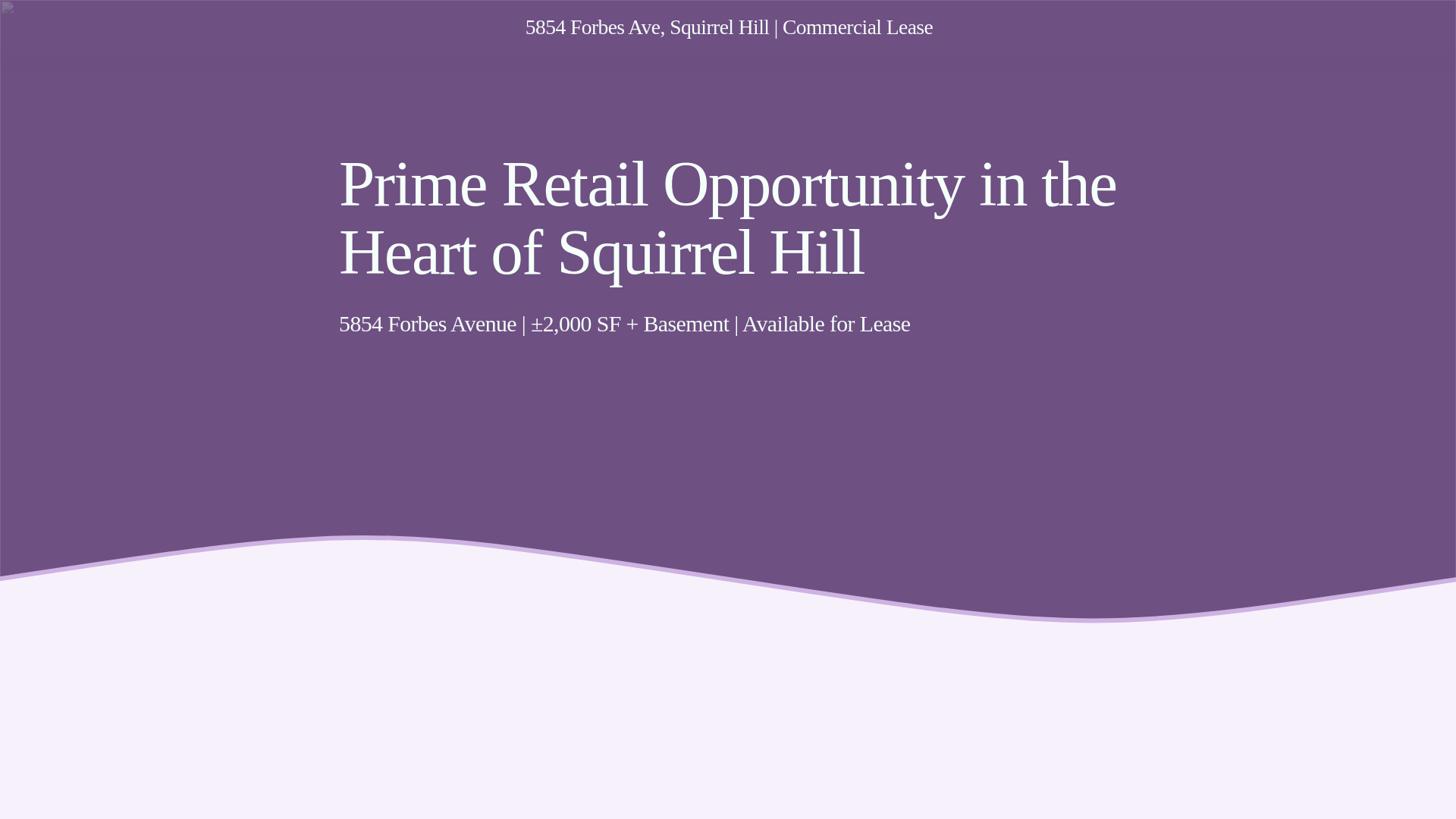 website screenshot of https://5854forbesavelease.com/