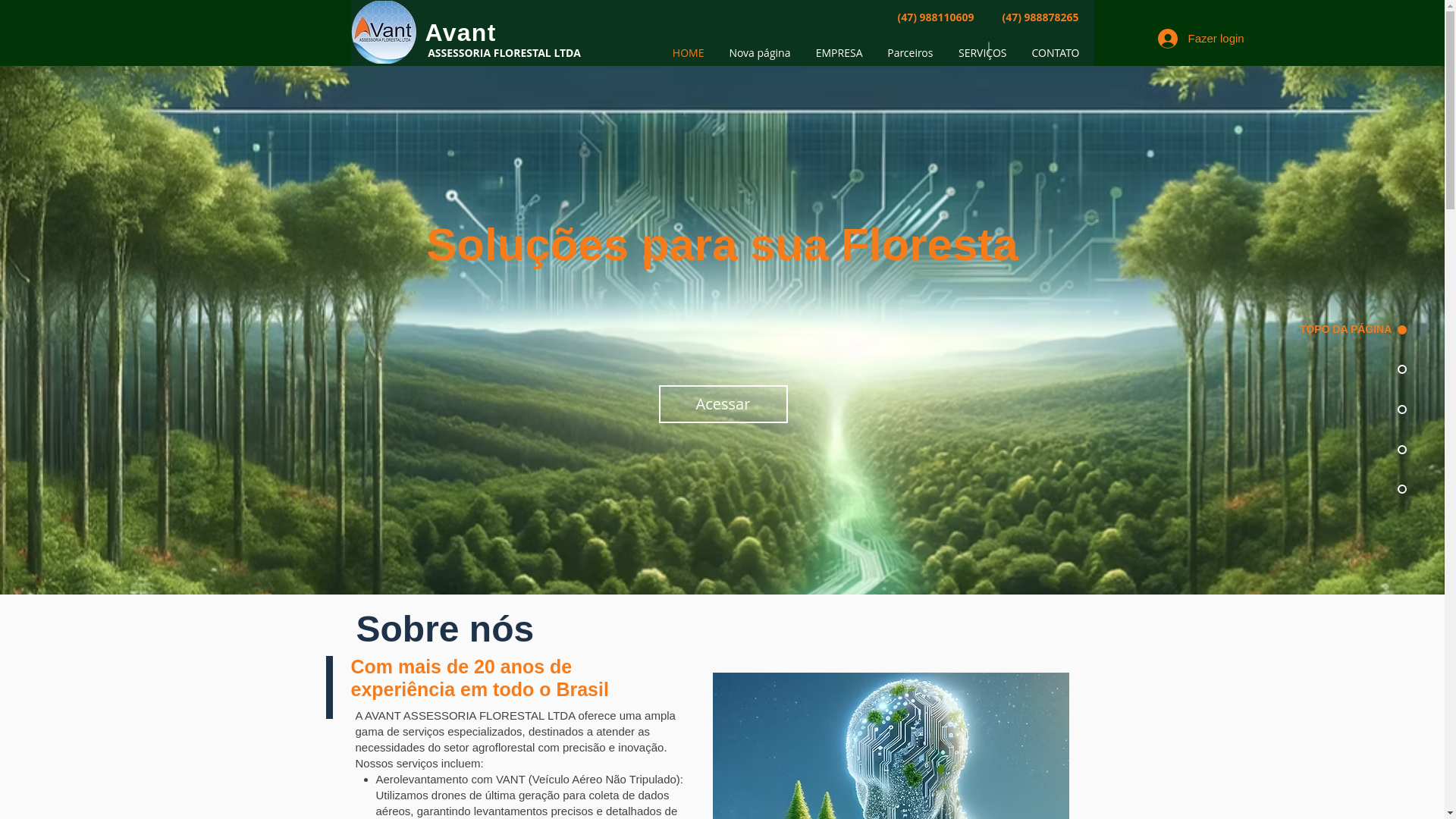 website screenshot of https://avant.eti.br/