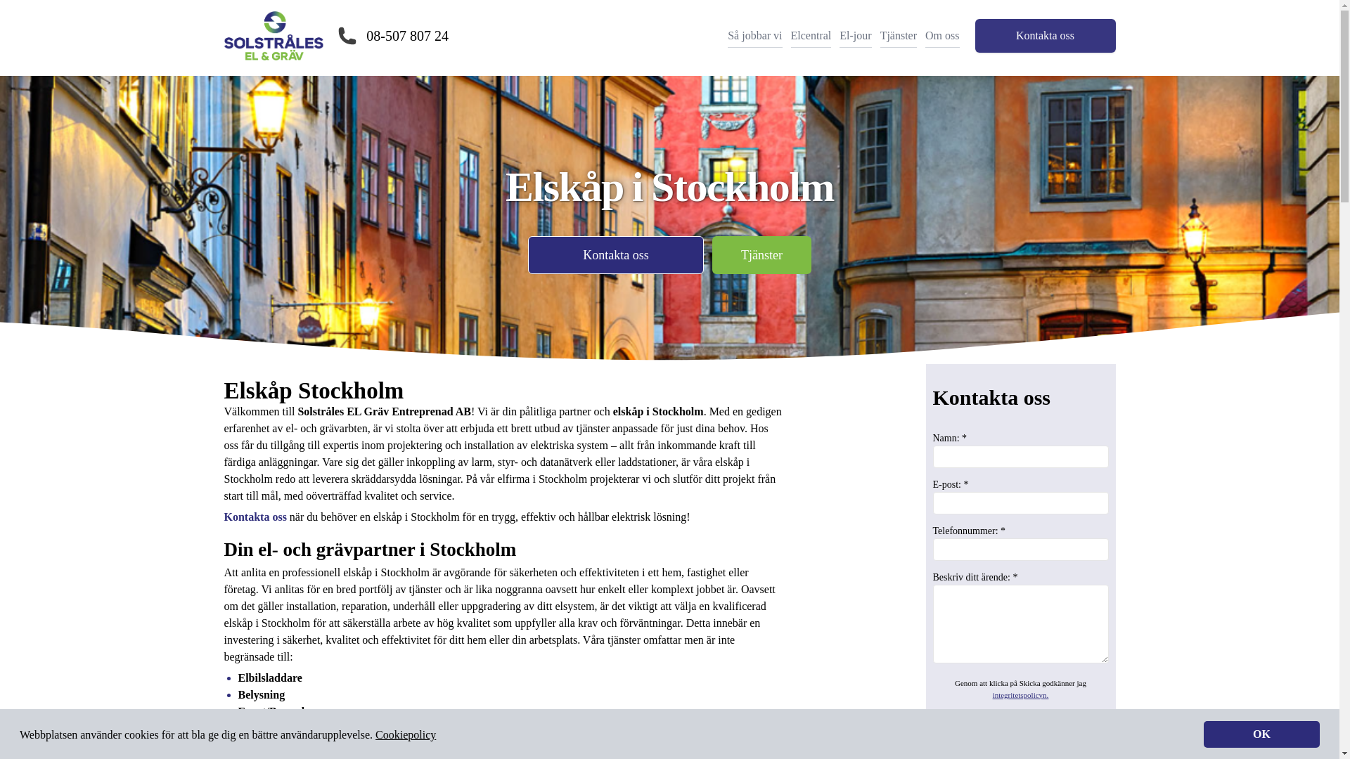 website screenshot of https://elskapstockholm.se/