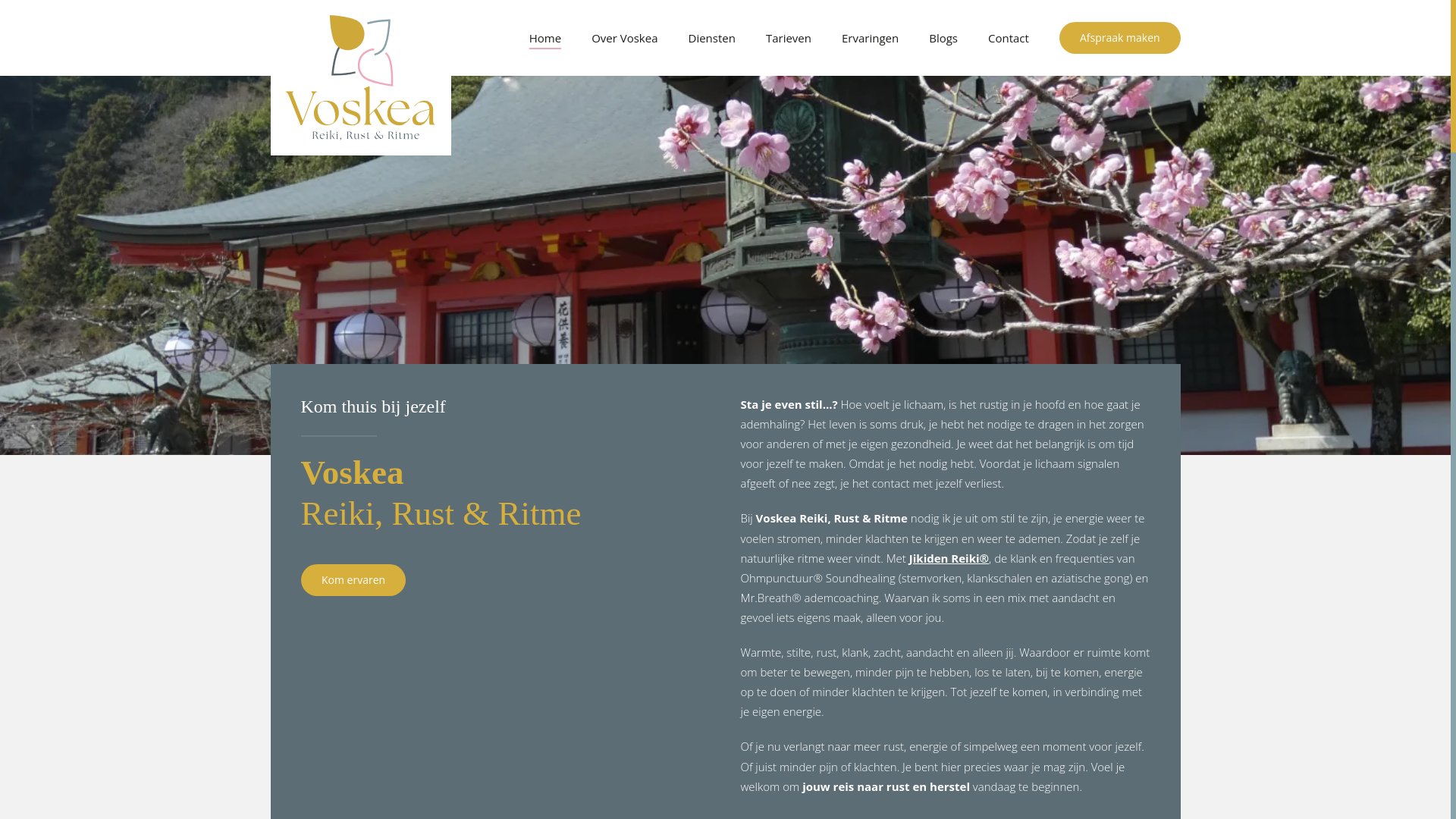 website screenshot of https://reiki-noordnederland.nl/