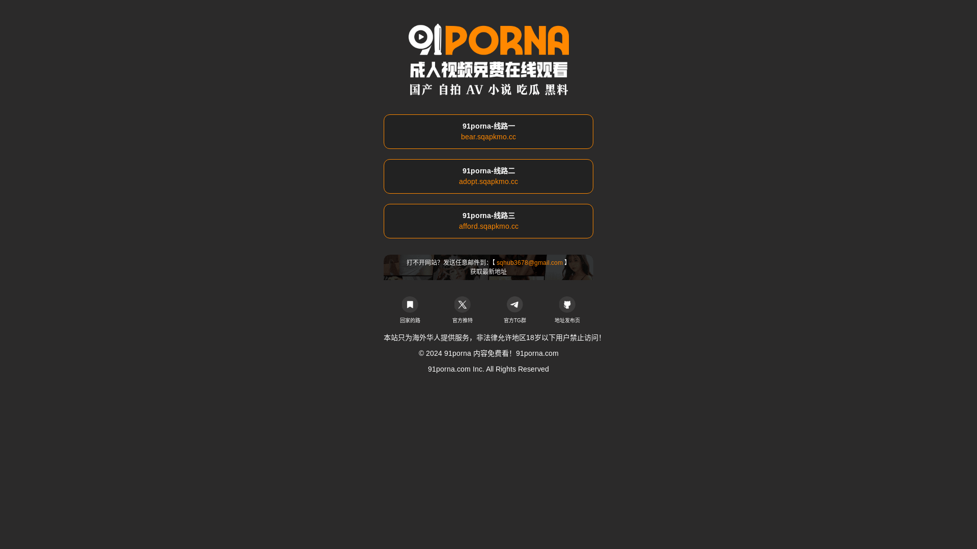 website screenshot of https://91wang104.com/