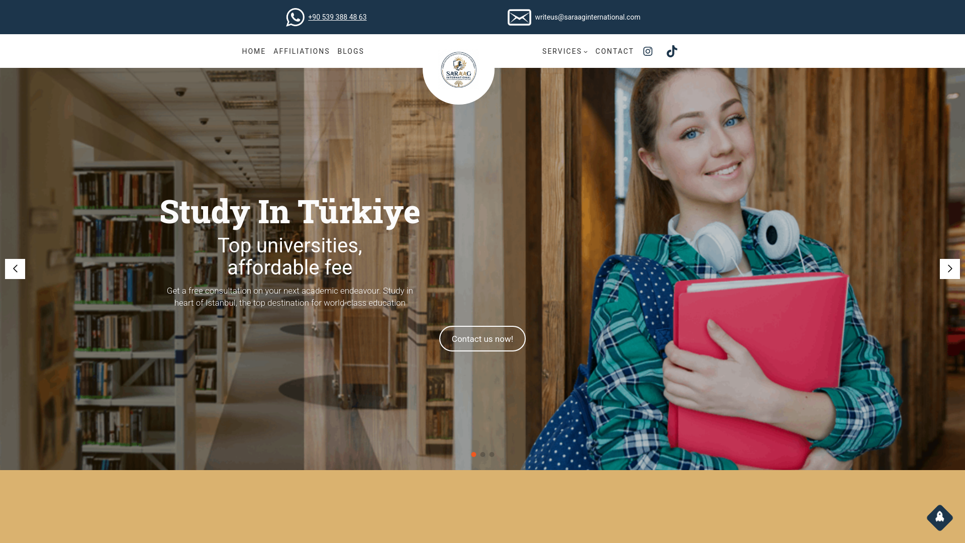 website screenshot of https://saraaginternational.com/