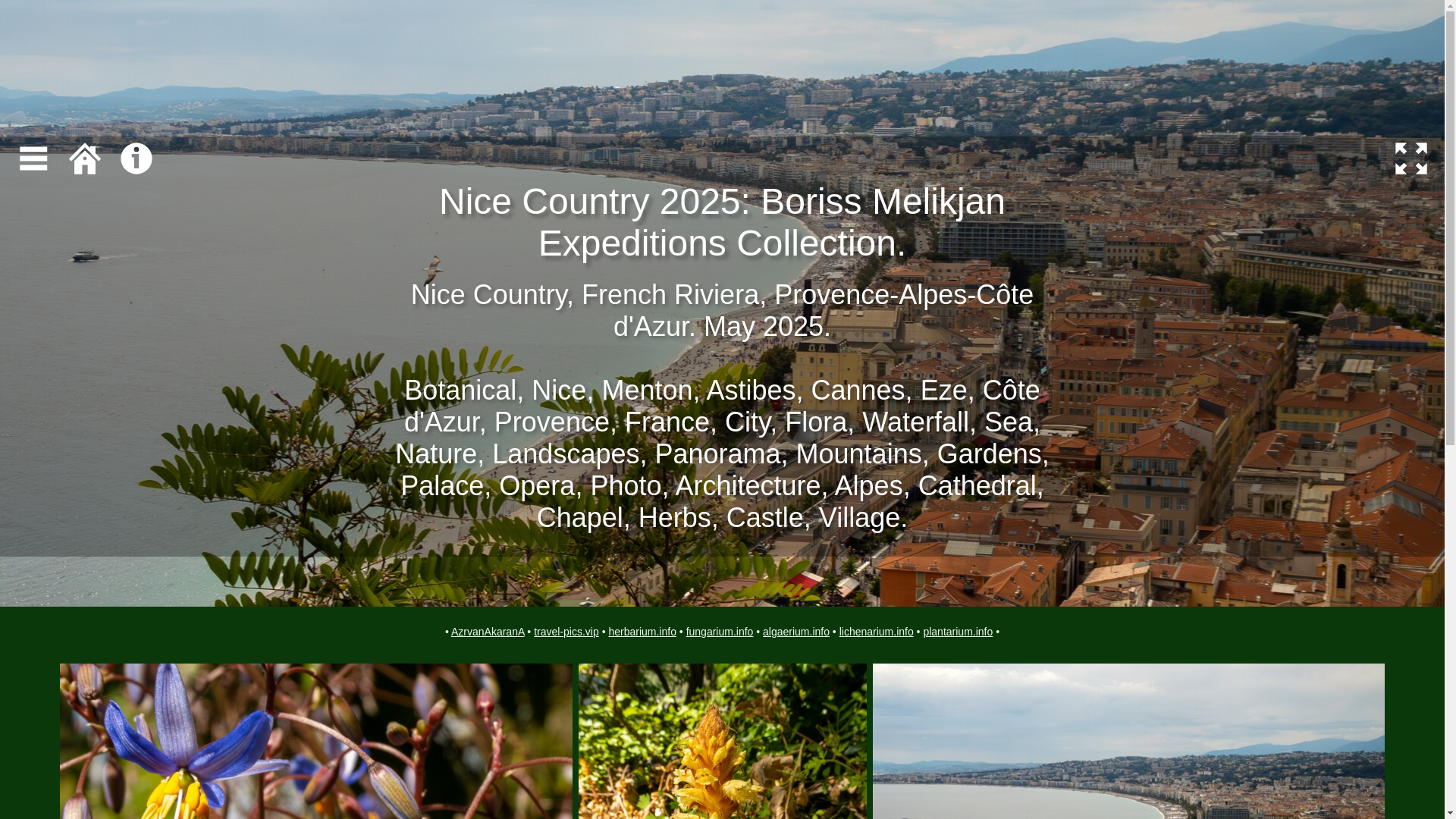 website screenshot of https://nice-travel-pics.pages.dev/