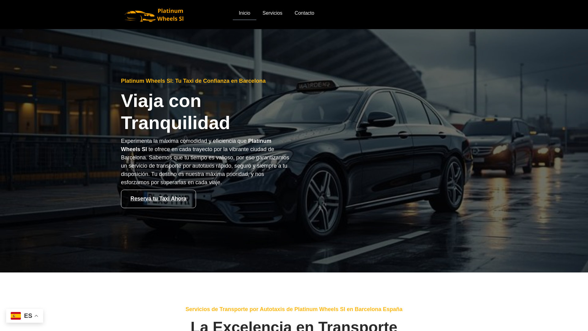 website screenshot of https://transportesplatinum.site