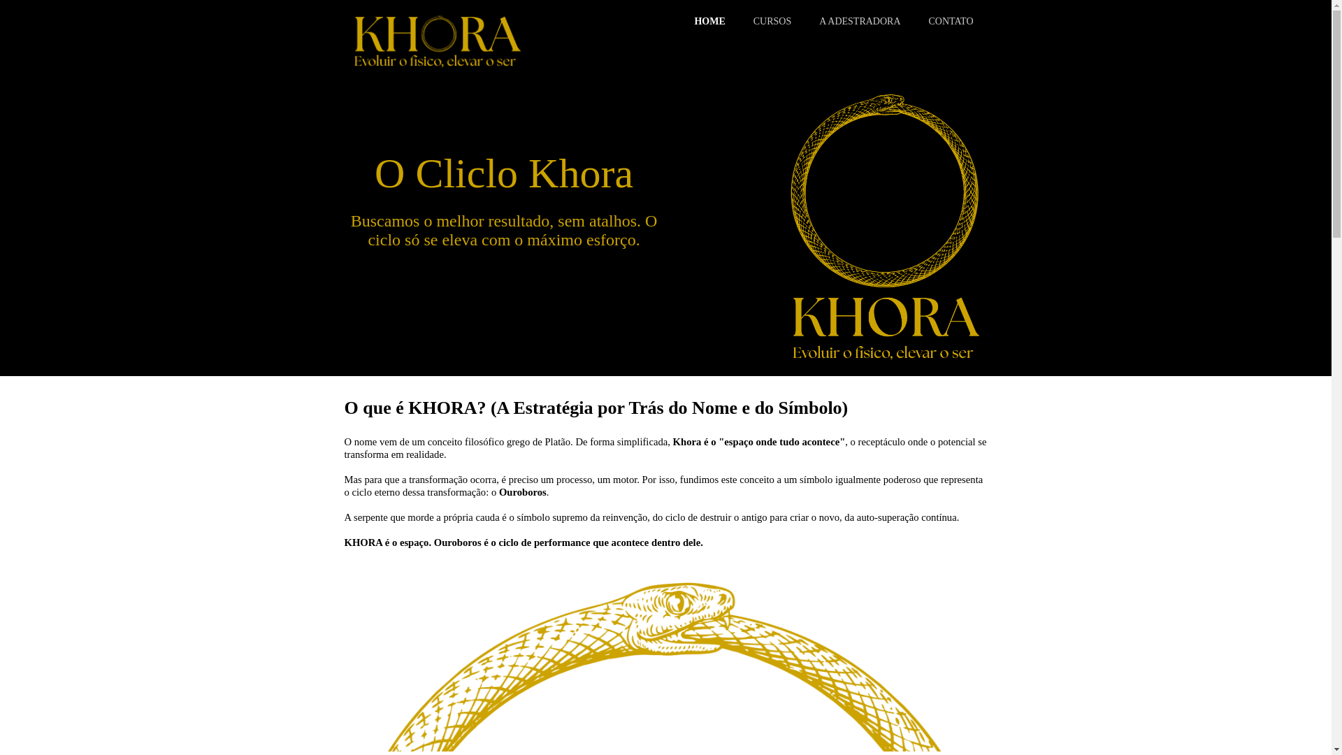 website screenshot of https://khoraperformance.com.br/
