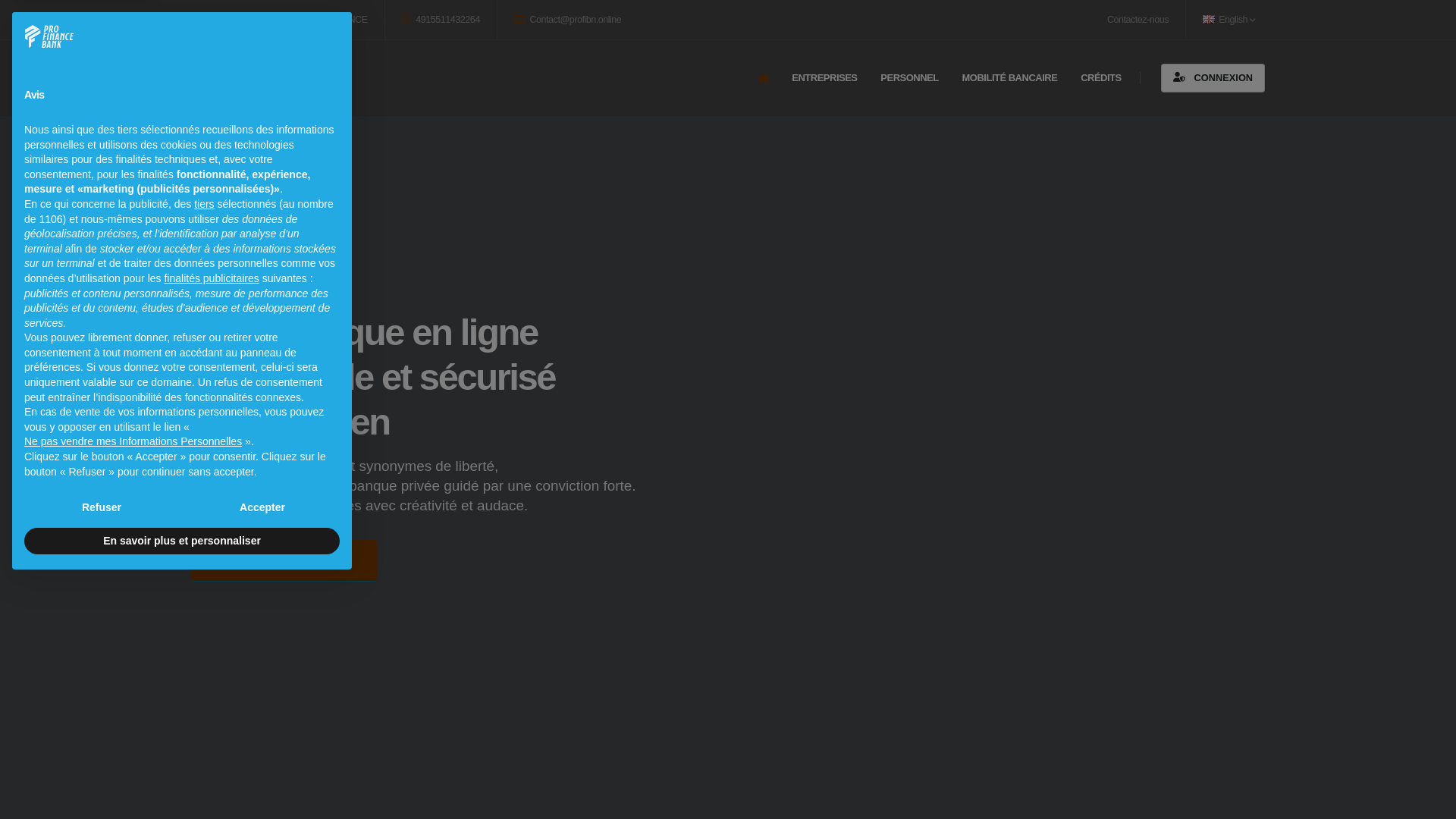 website screenshot of https://profibn.online/