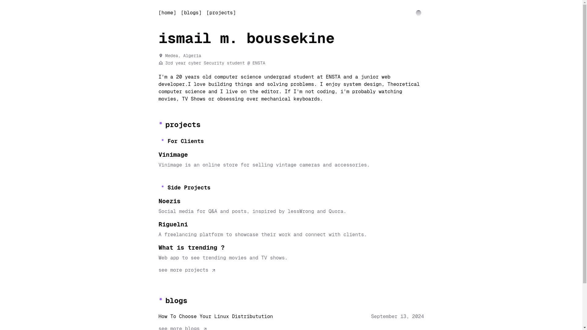 website screenshot of https://ismailboussekine.dev/