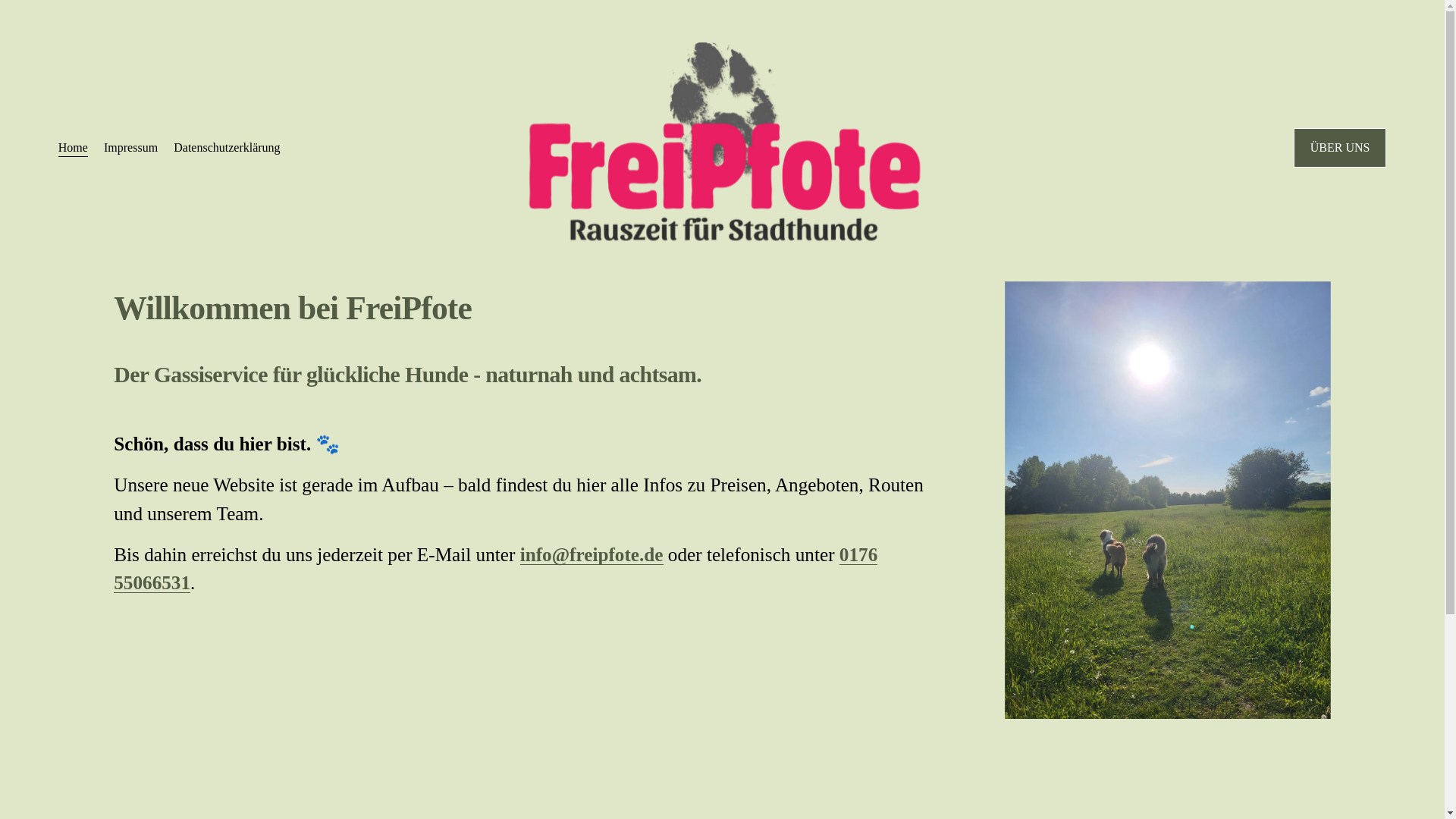 website screenshot of https://freipfote.de/