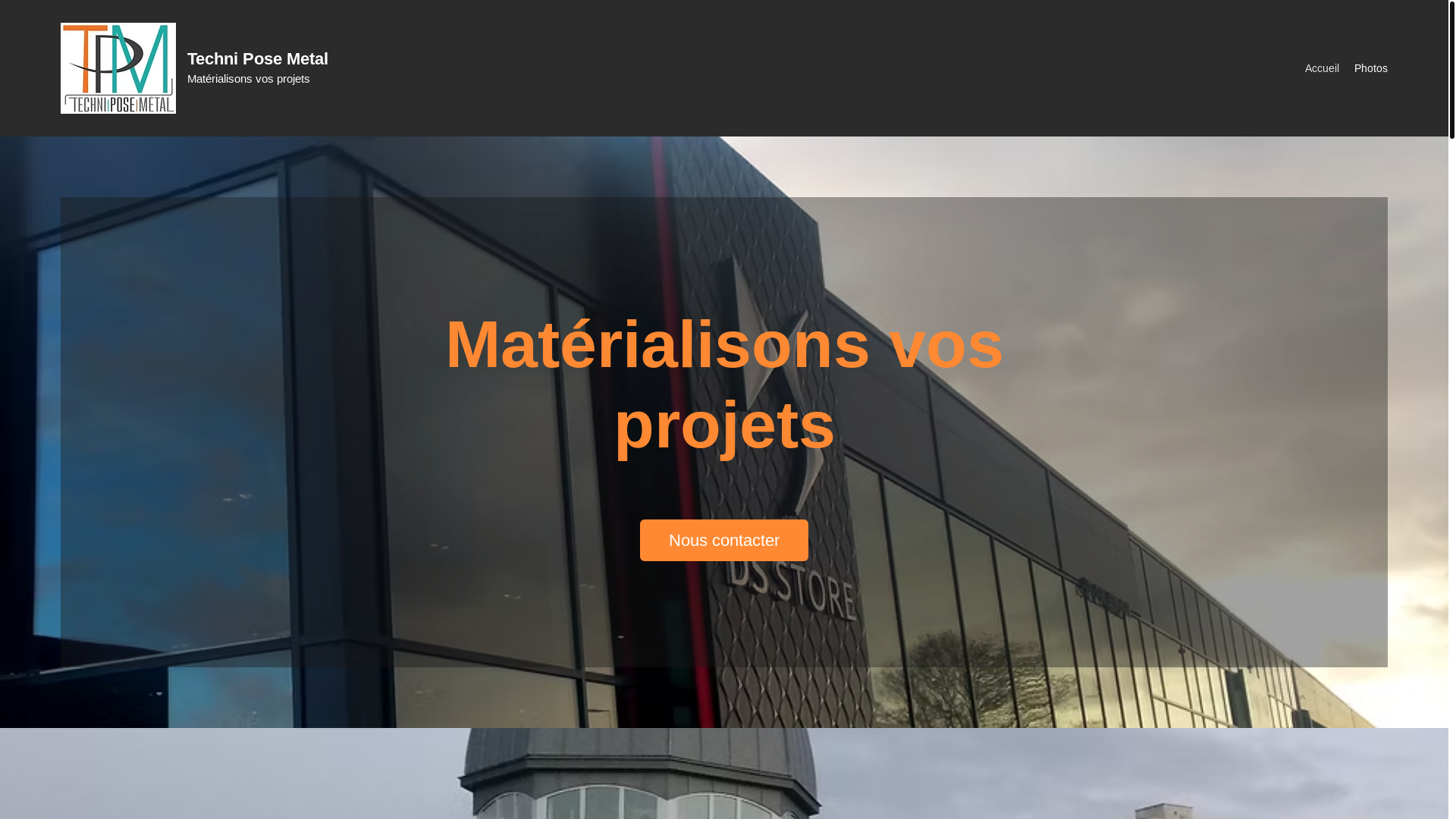website screenshot of https://techniposesmetal.com/