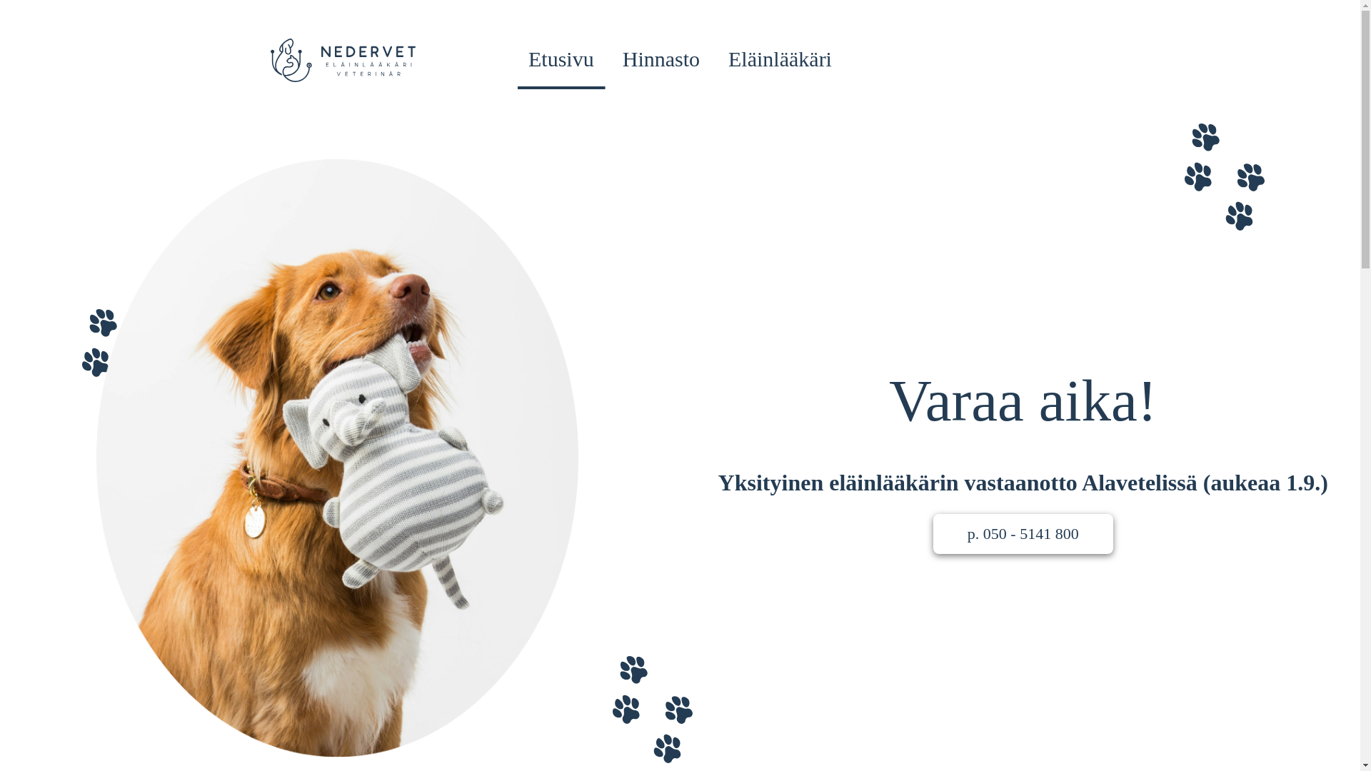 website screenshot of https://nedervet.fi/