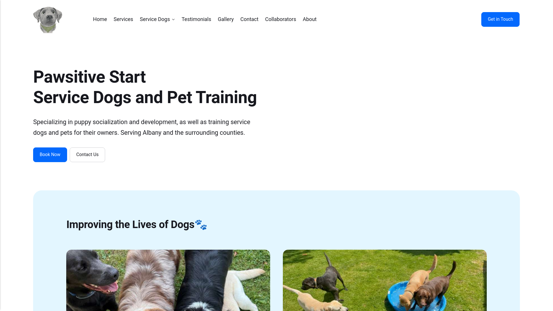 website screenshot of https://pawsitivestart.pages.dev/