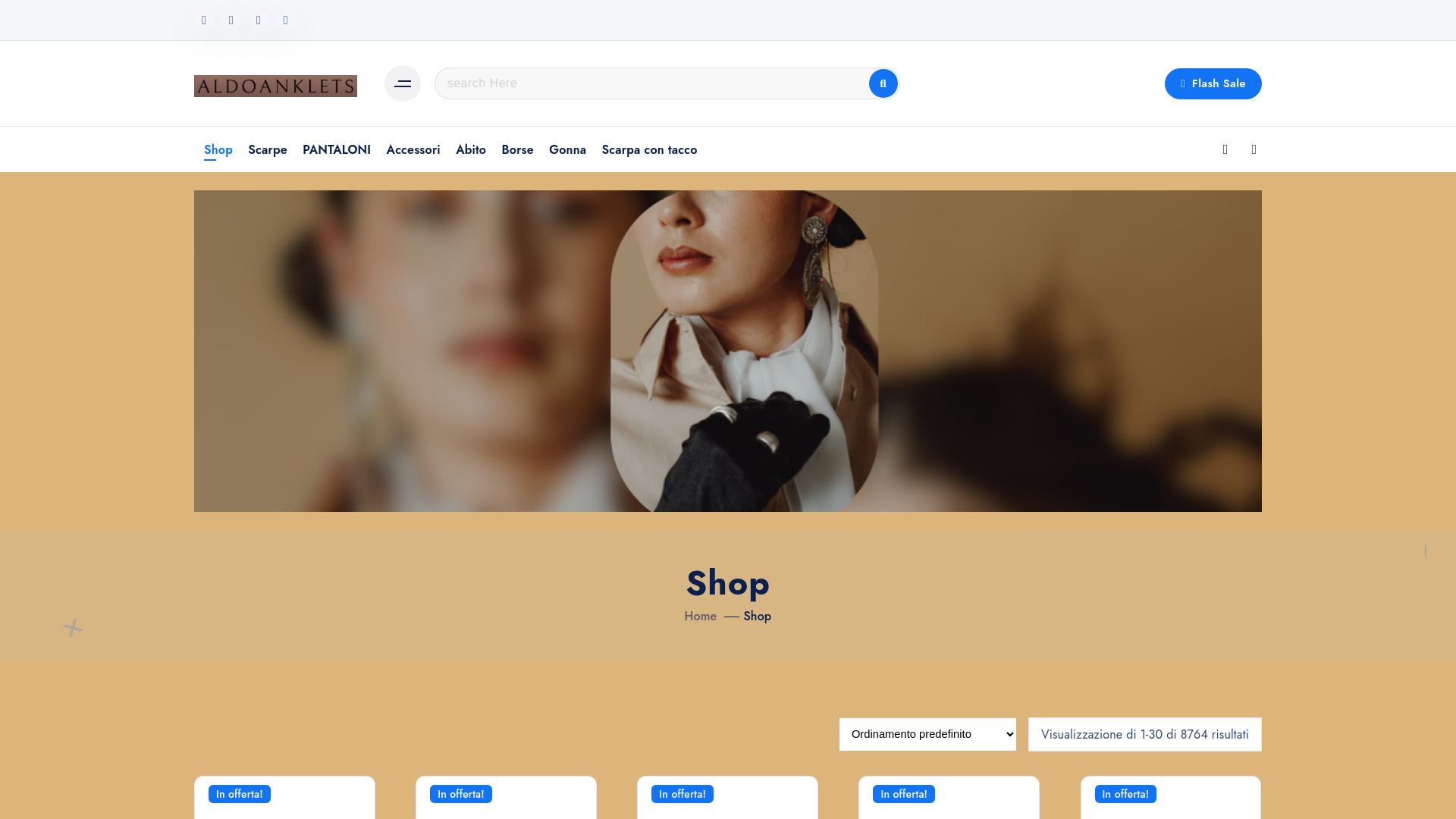 website screenshot of https://aldoanklets.com